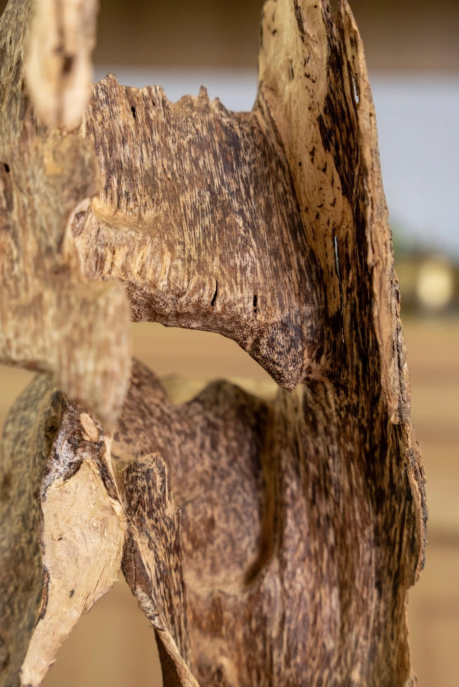 KHỐI TRẦM RỪNG TRANG TRÍ - TRẦM HƯƠNG RỪNG NHA TRANG - MOC TRAM AGARWOOD