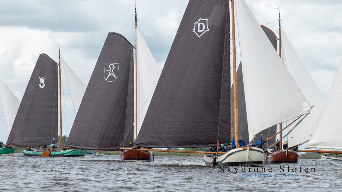 Traditionele houten zeilboten met donkere zeilen en heraldische emblemen varen dicht bij elkaar tijdens een regatta op een Fries binnenwater.