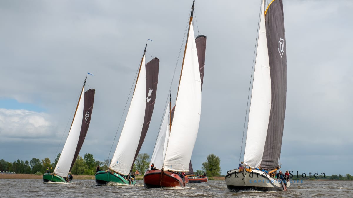 Vier traditionele Friese zeilboten met bruine en witte zeilen varen in formatie over een bewolkt meer.