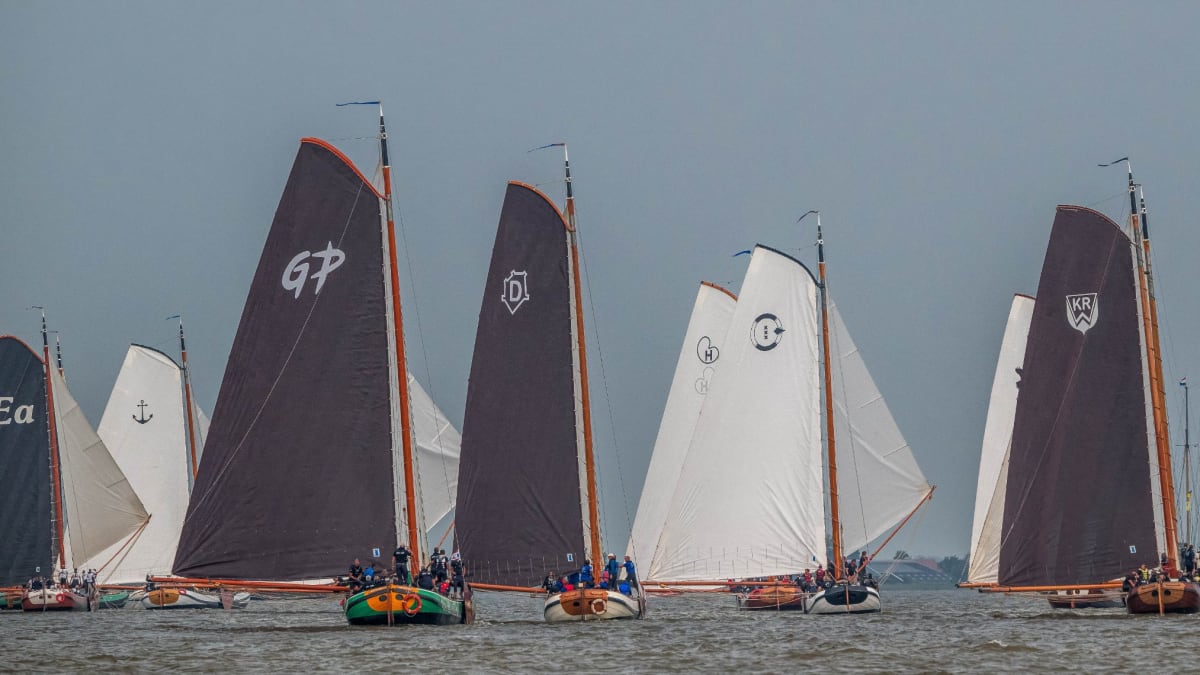 Meerdere traditionele houten zeilboten met bruine en witte zeilen varen dicht op elkaar tijdens een zeilwedstrijd op een Nederlands binnenwater.