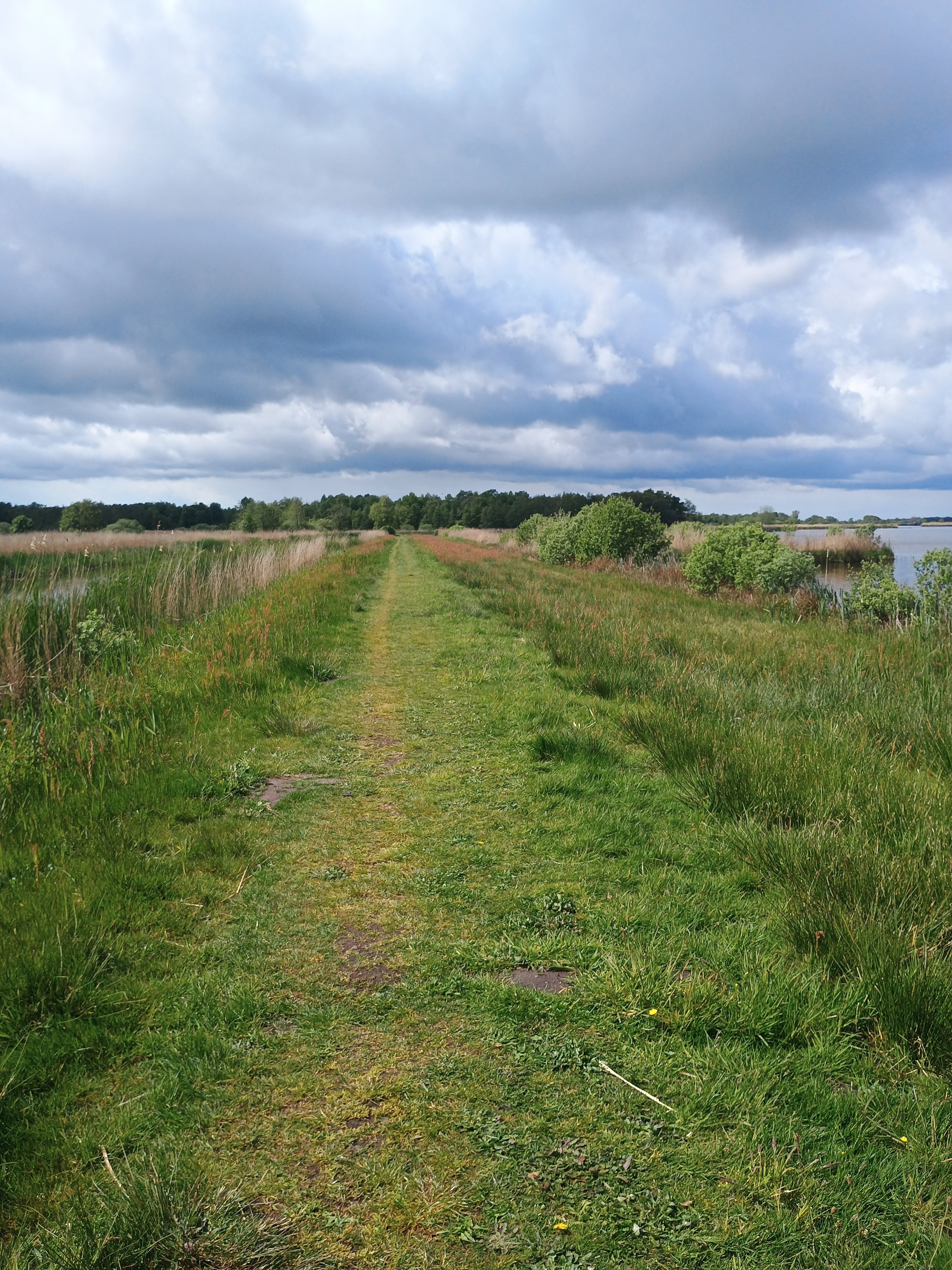 Uitzicht over weiland en water vanuit het wandelpad bij Feanwâlden