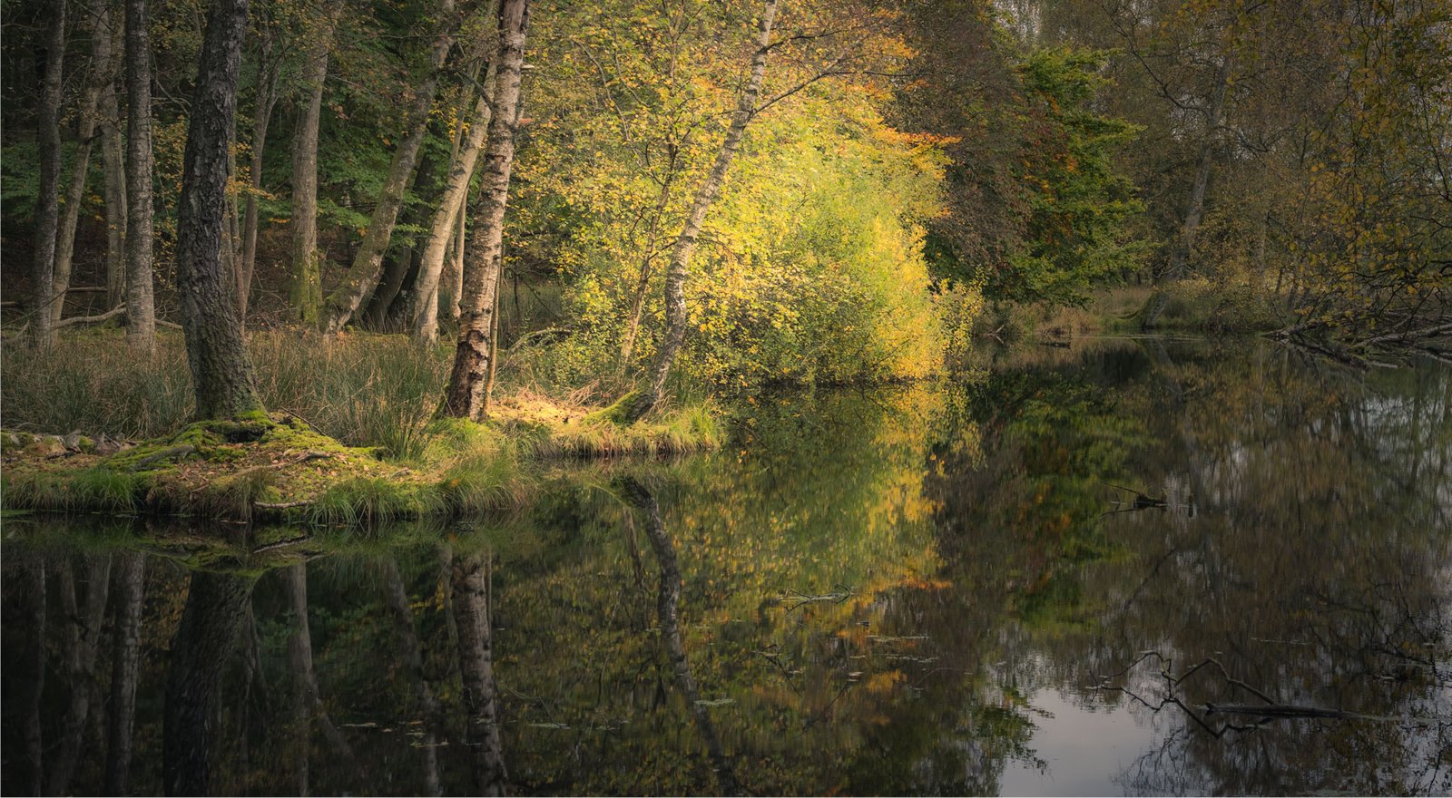 Julsø meer reflectie herfstkleuren