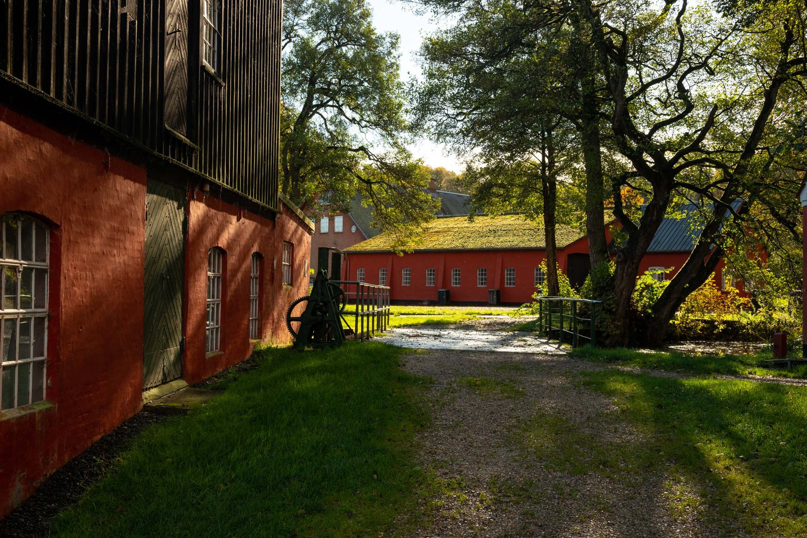 Klostermølle Mossø rietvelden