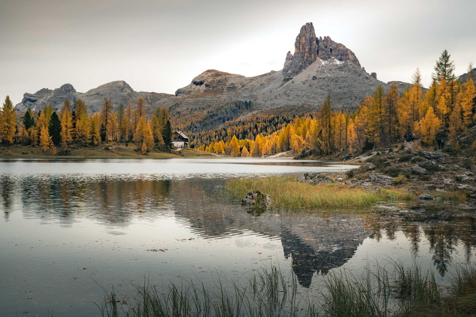 Lago Federa morning light