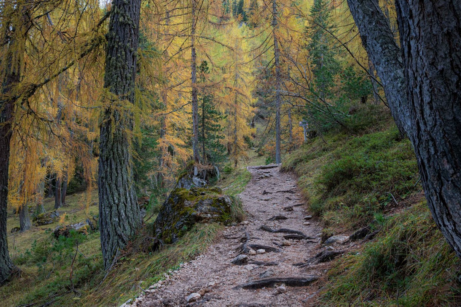 Dolomites rocks