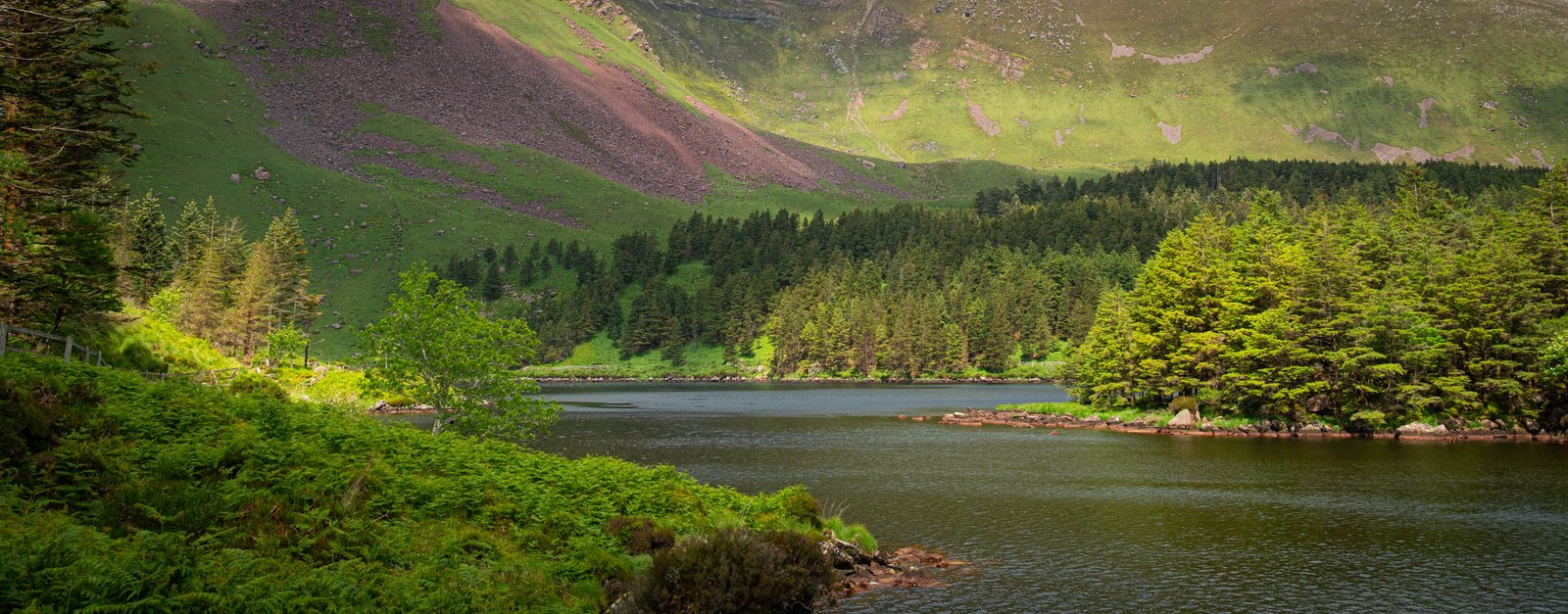 Panorama of Lough Caum with the Slieve Mish Mountains in the background