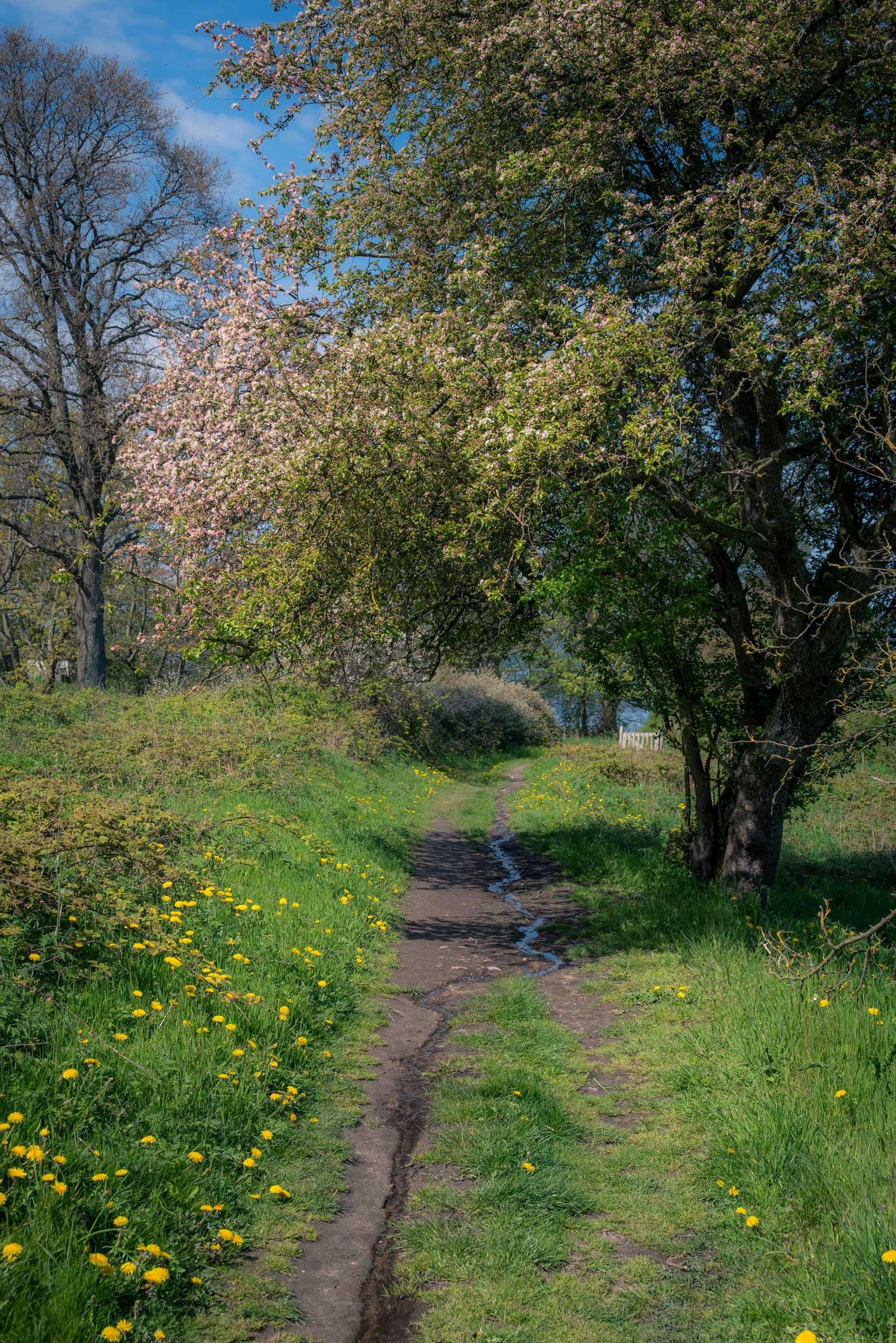 Verticaal beeld granieten kliffen Bornholm