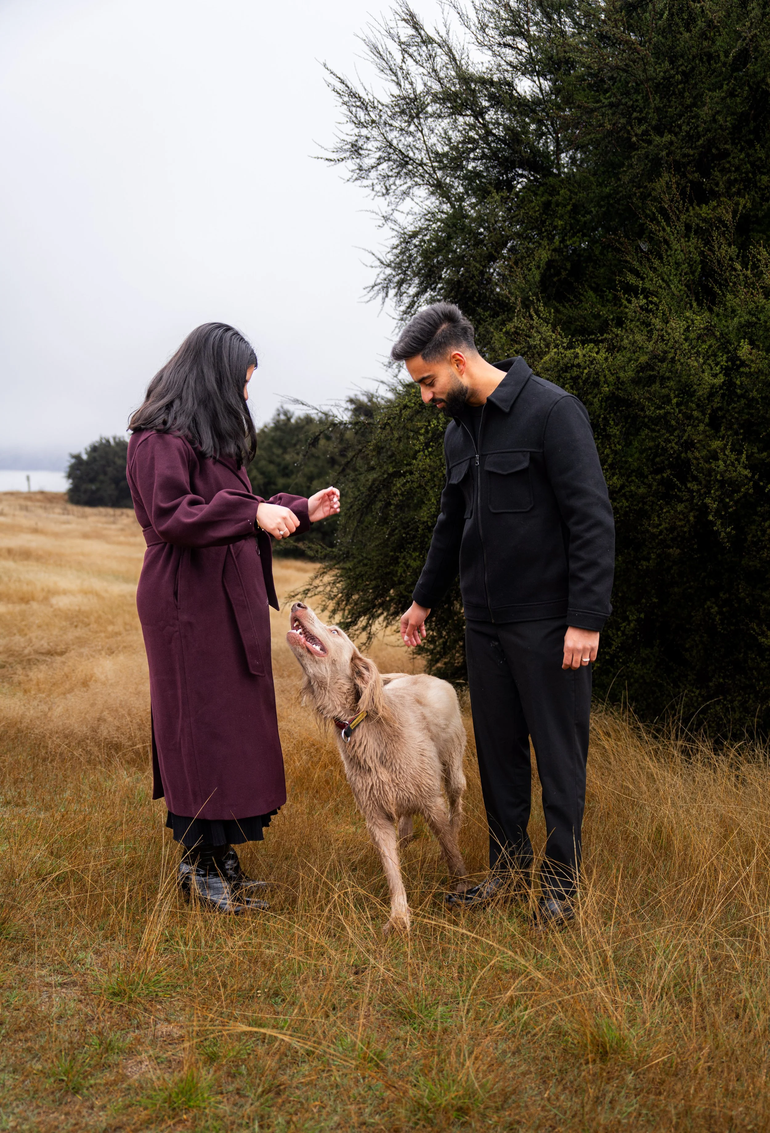 Gurkirat's Proposal still 36