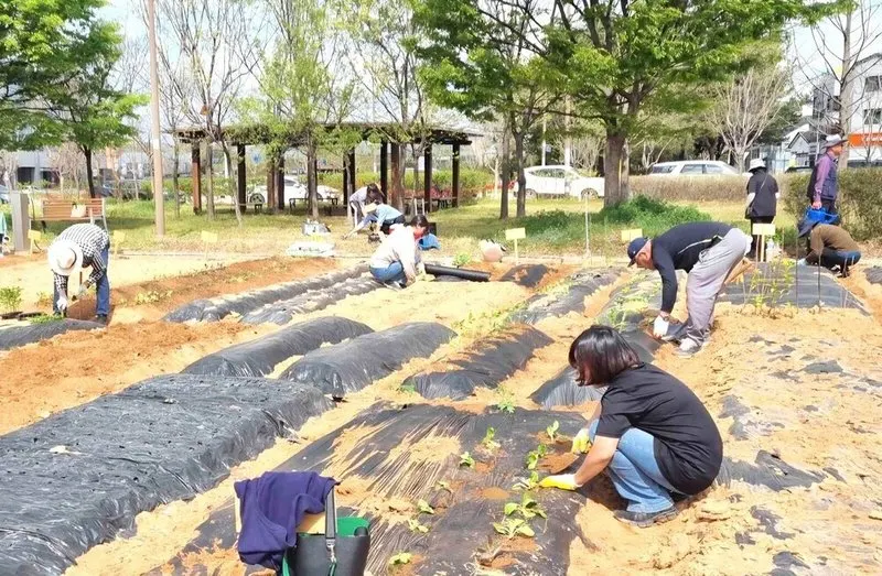 나주시, 공영 텃밭 260구획 분양…신규 145구획 포함, 3월 10일까지 접수
