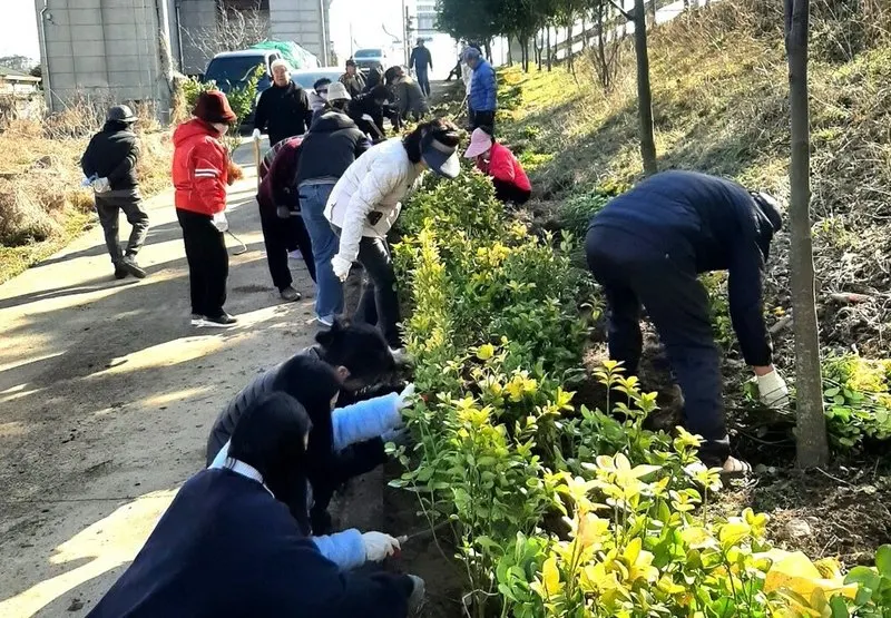 나주 영강동, 주민과 함께 푸른 마을 조성