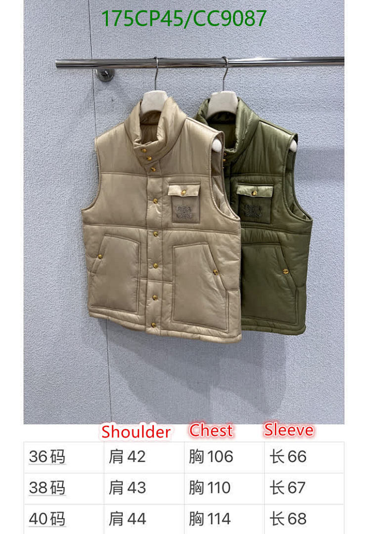 Celine Celine Down Vest - view 5