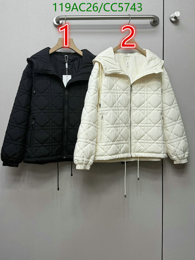 Dior Dior Quilted Lightweight Hooded Jacket