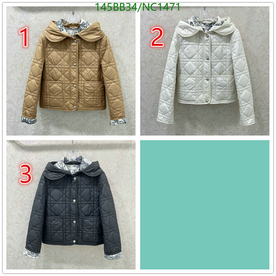 Dior Dior Quilted Hooded Jacket