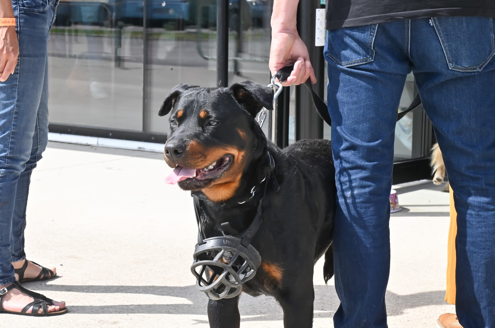 Photo du salon 2022.