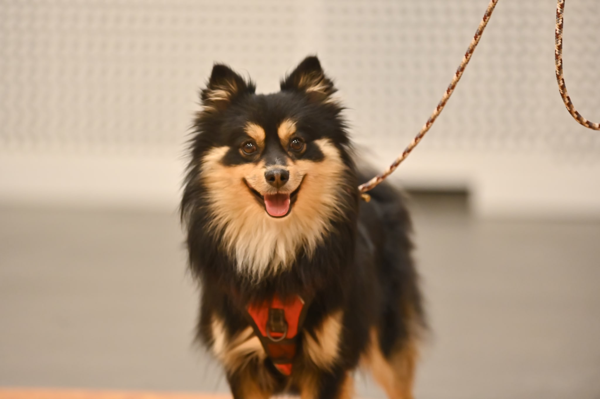 Photo du salon 2022.