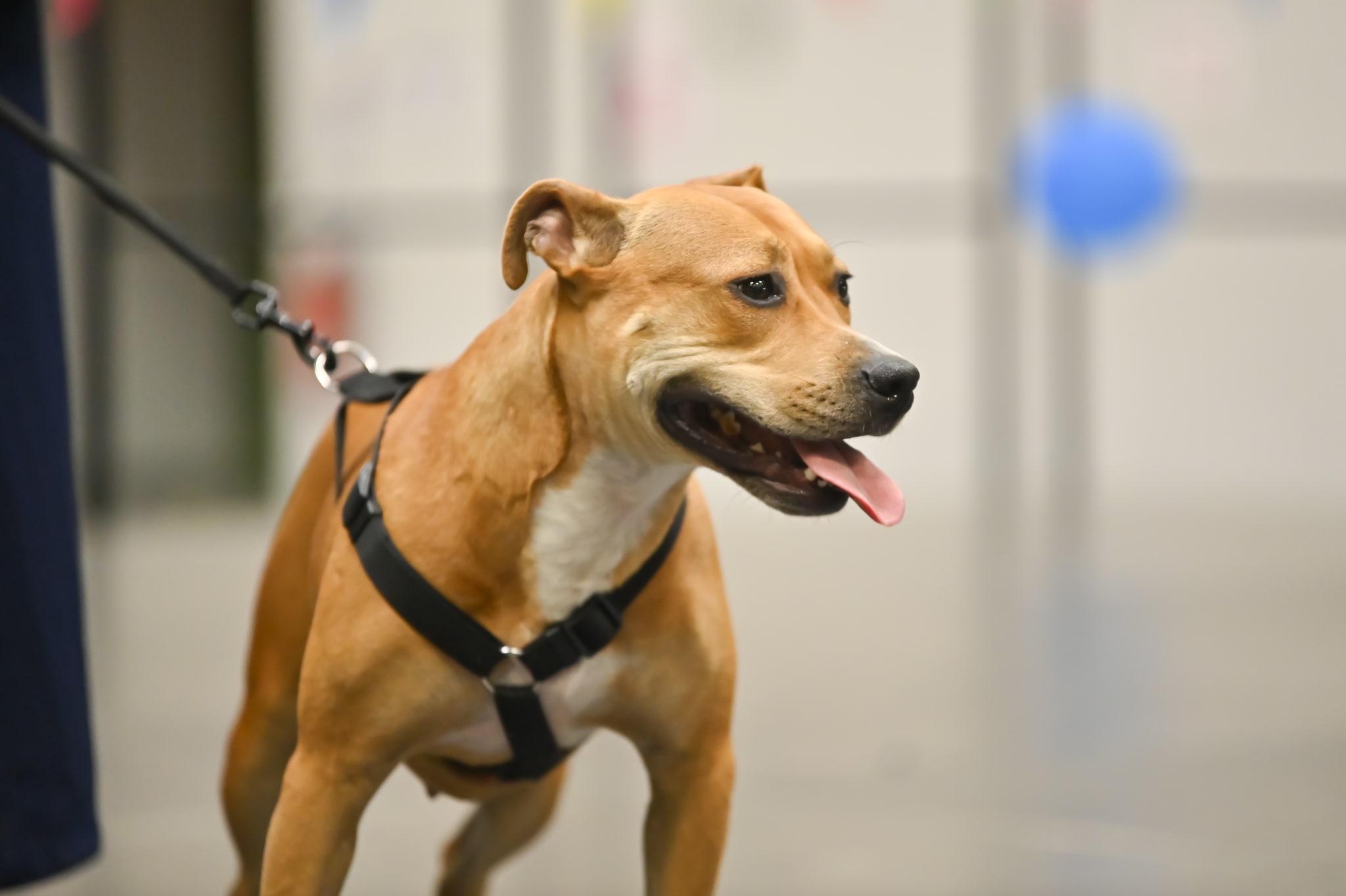 Photo du salon 2022.