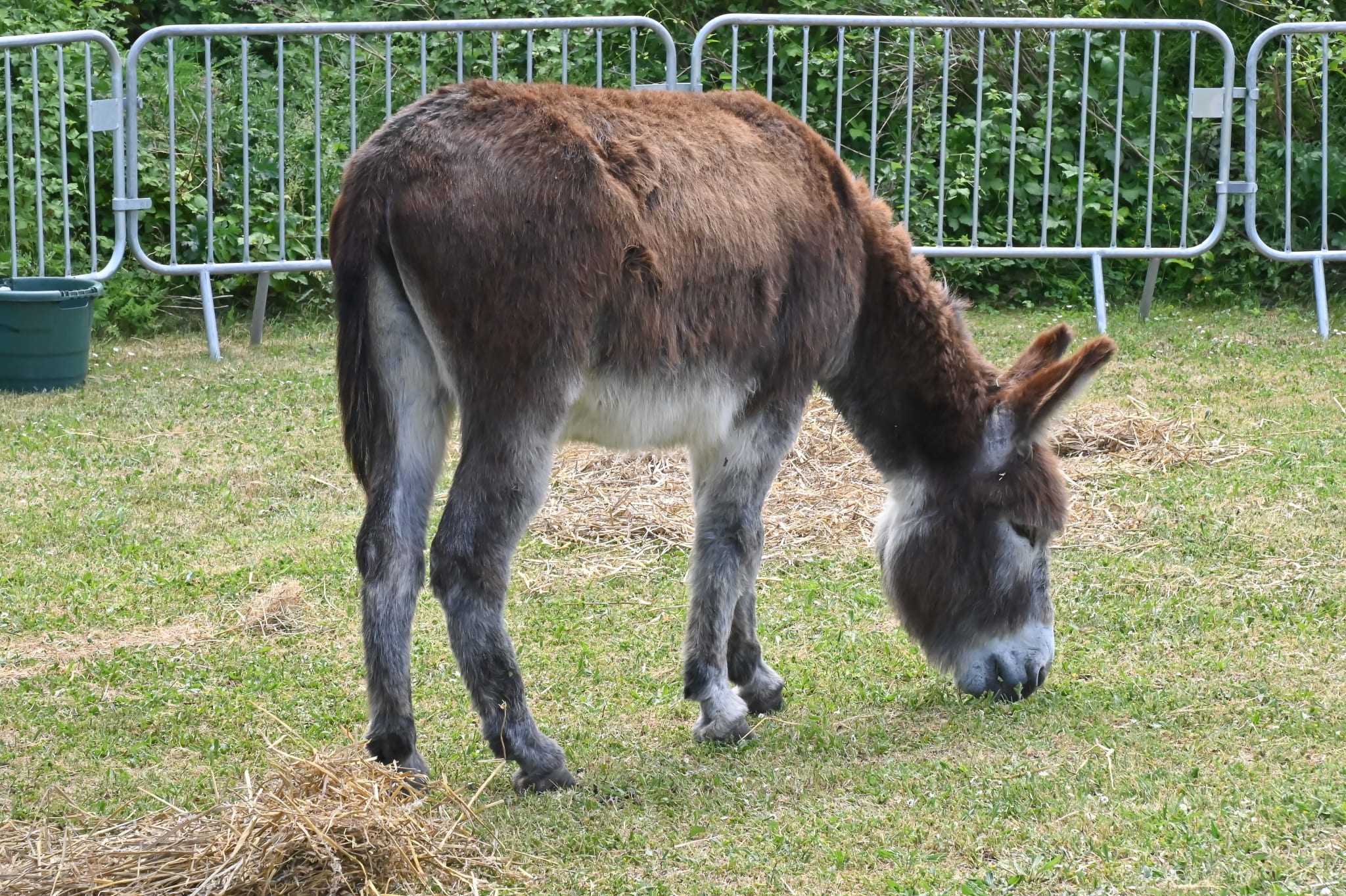 Photo du salon 2022.