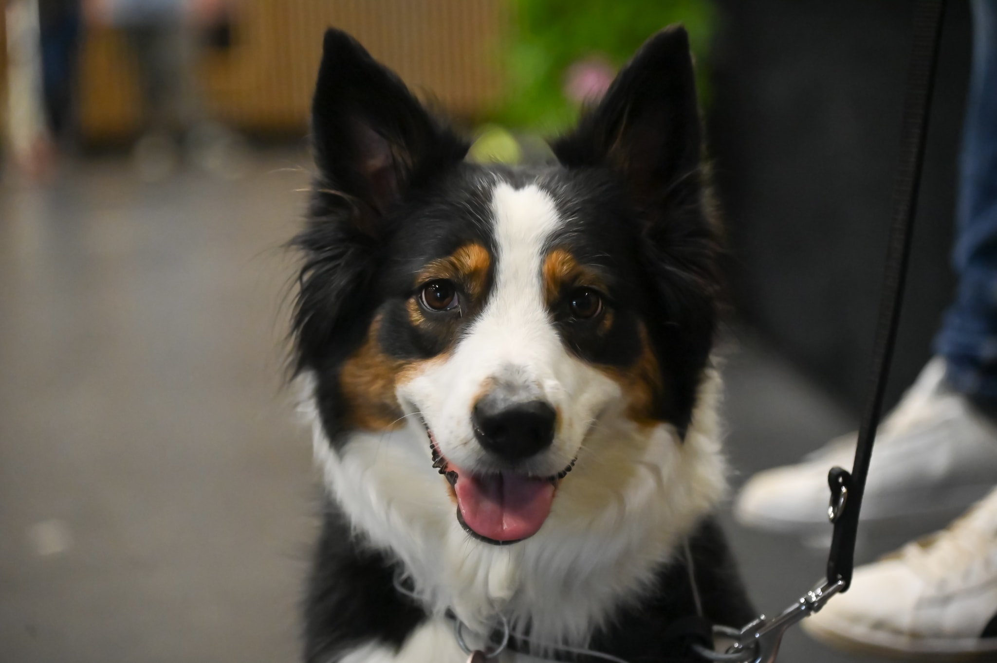 Photo du salon 2022.