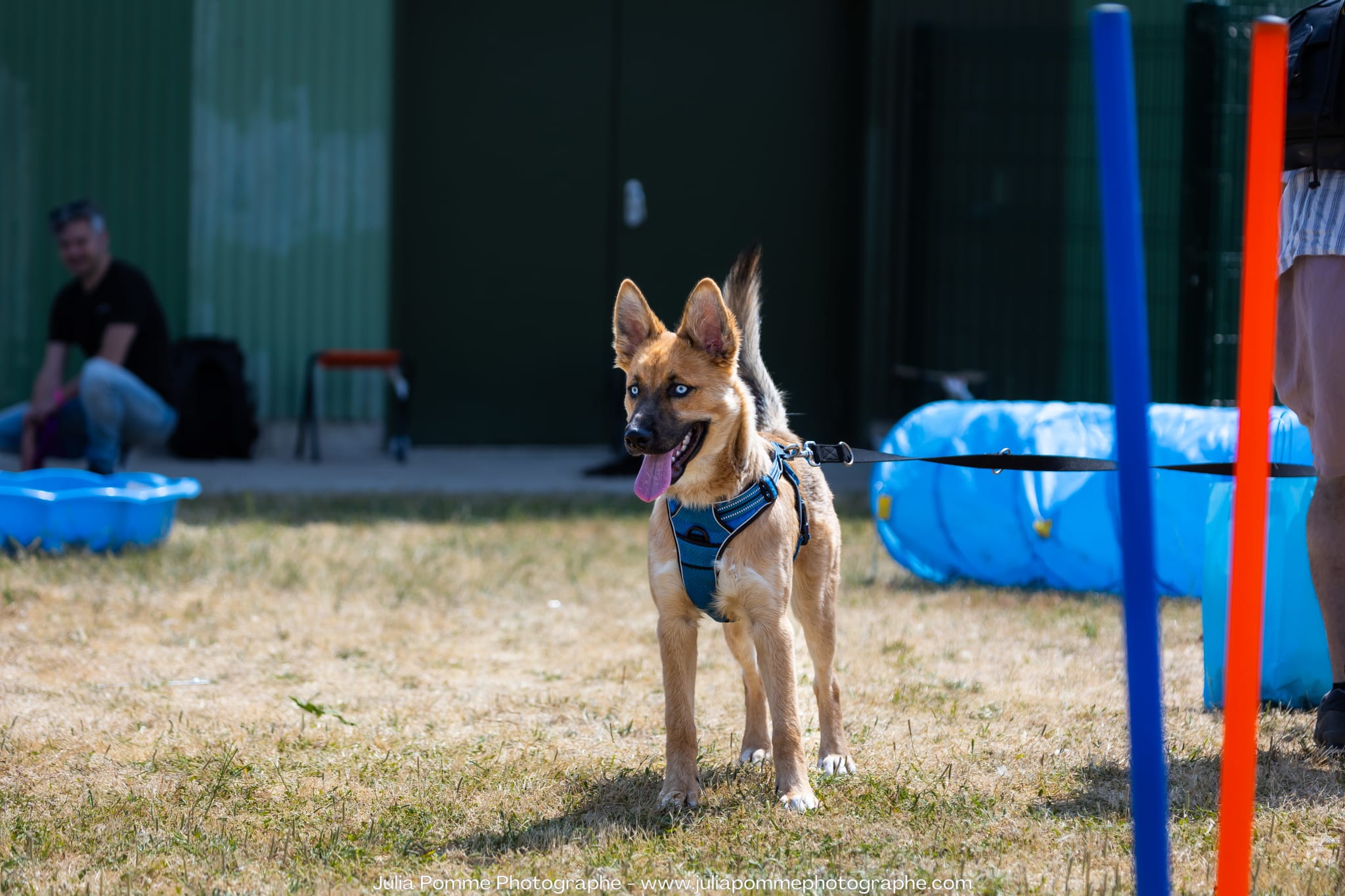 Photo du salon 2023 par Julia Pommé Photographe.