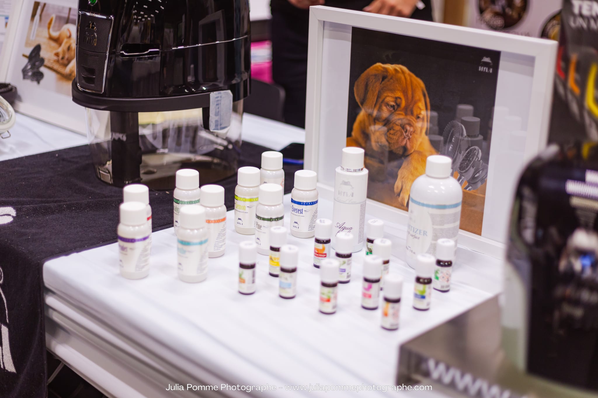 Photo du salon 2023 par Julia Pommé Photographe.