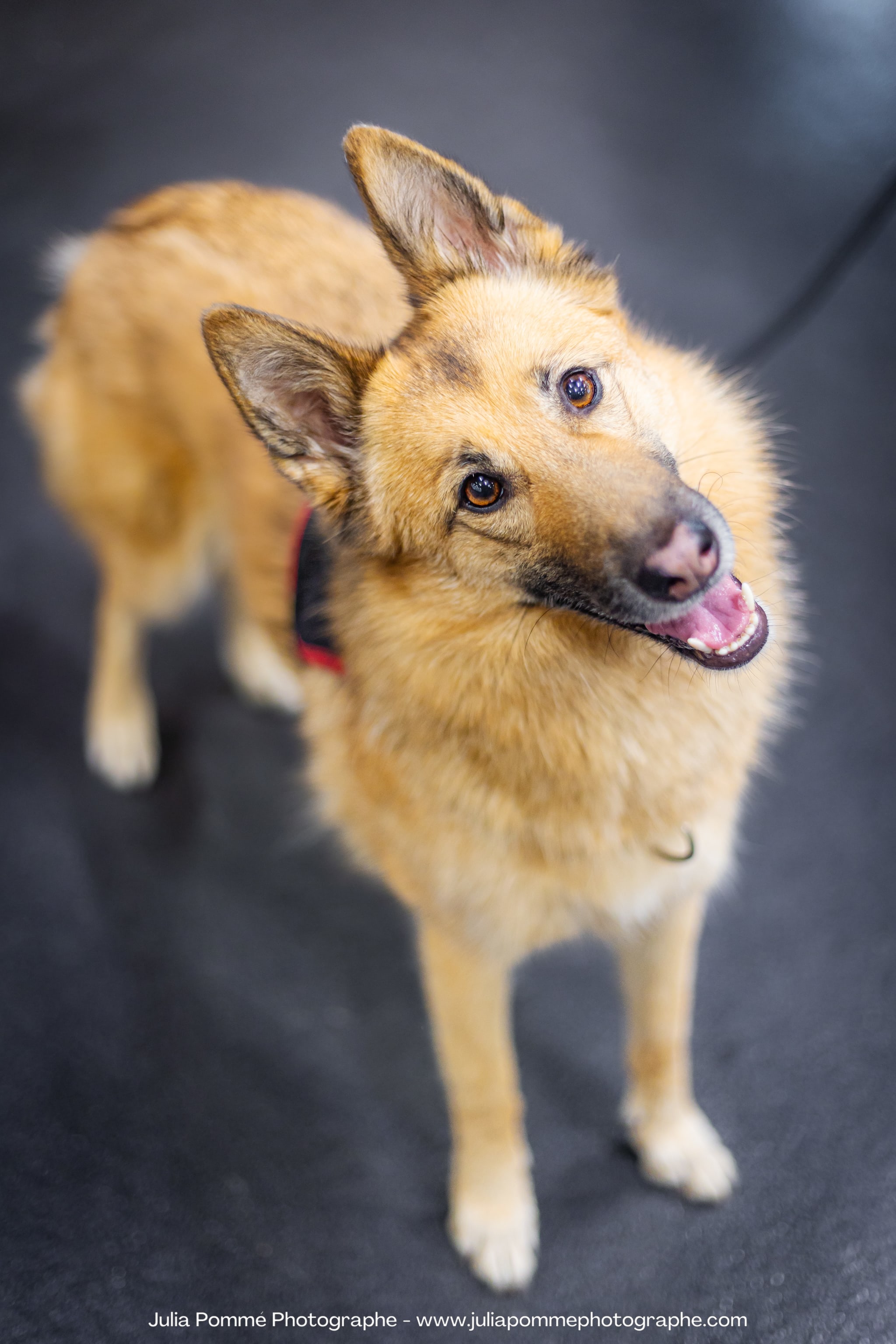 Photo du salon 2023 par Julia Pommé Photographe.