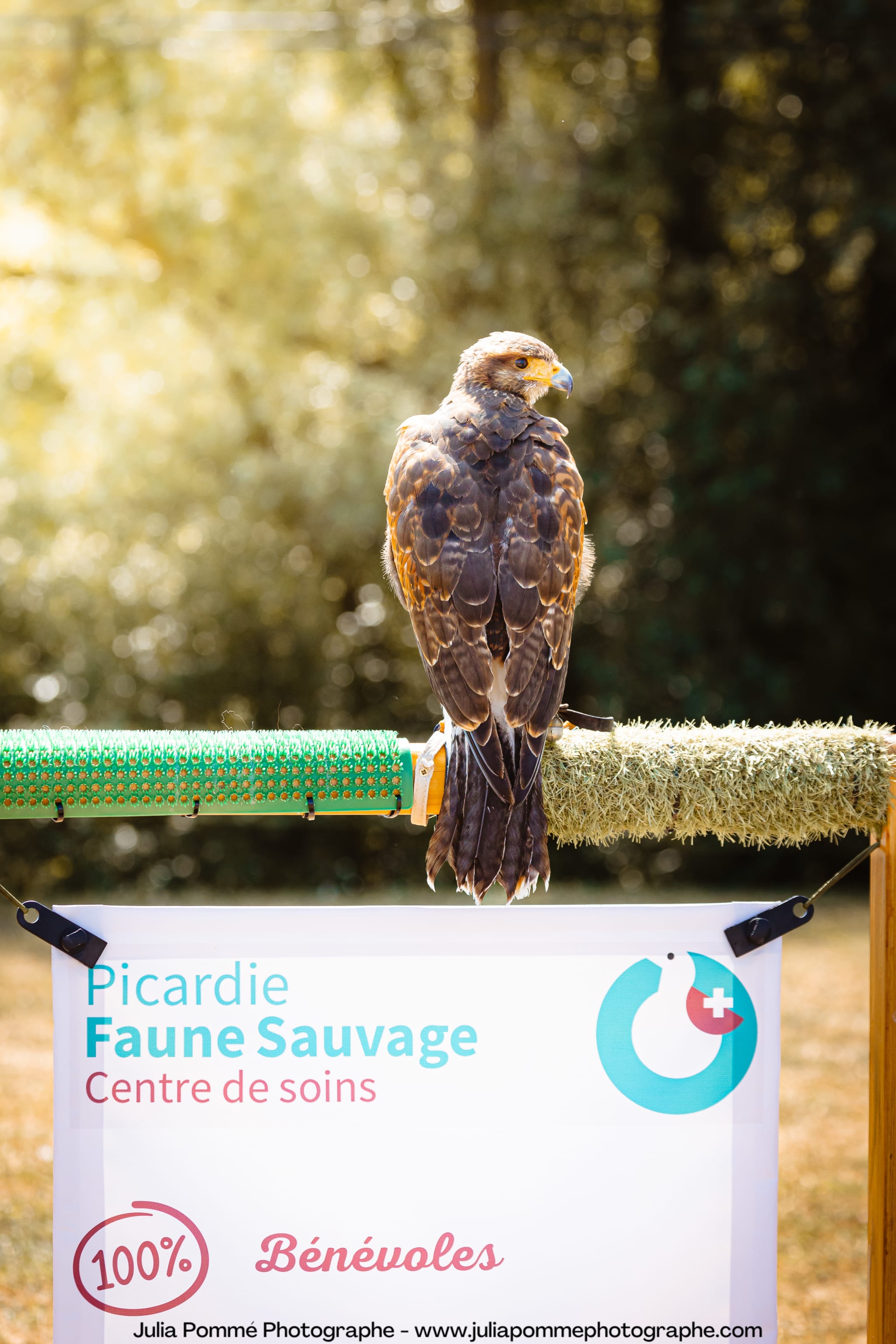 Photo du salon 2023 par Julia Pommé Photographe.