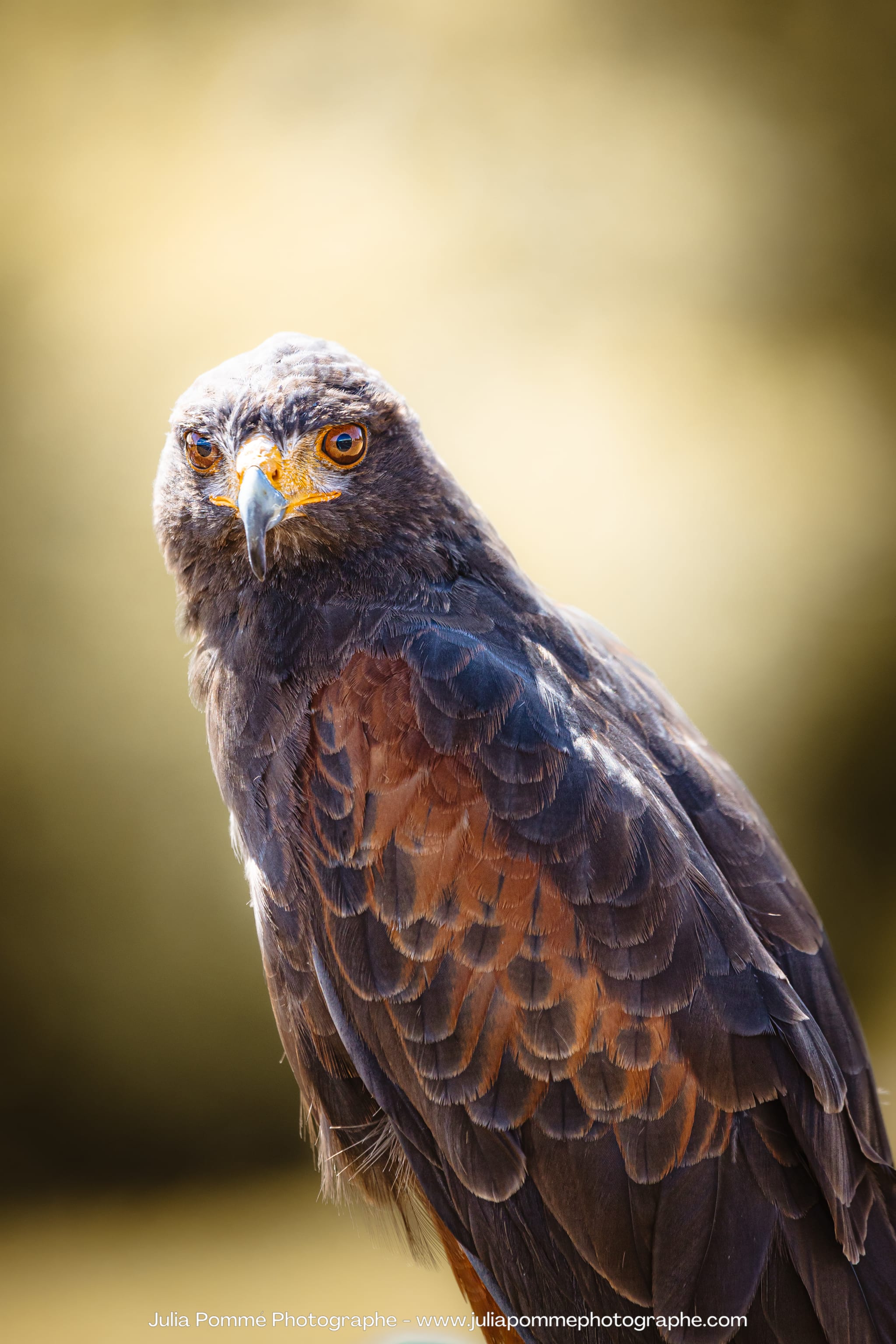 Photo du salon 2023 par Julia Pommé Photographe.