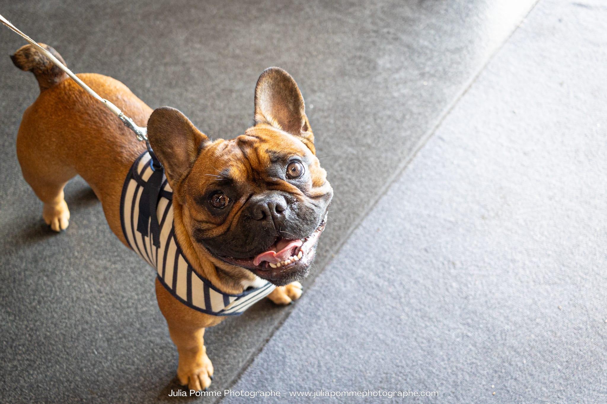Photo du salon 2023 par Julia Pommé Photographe.