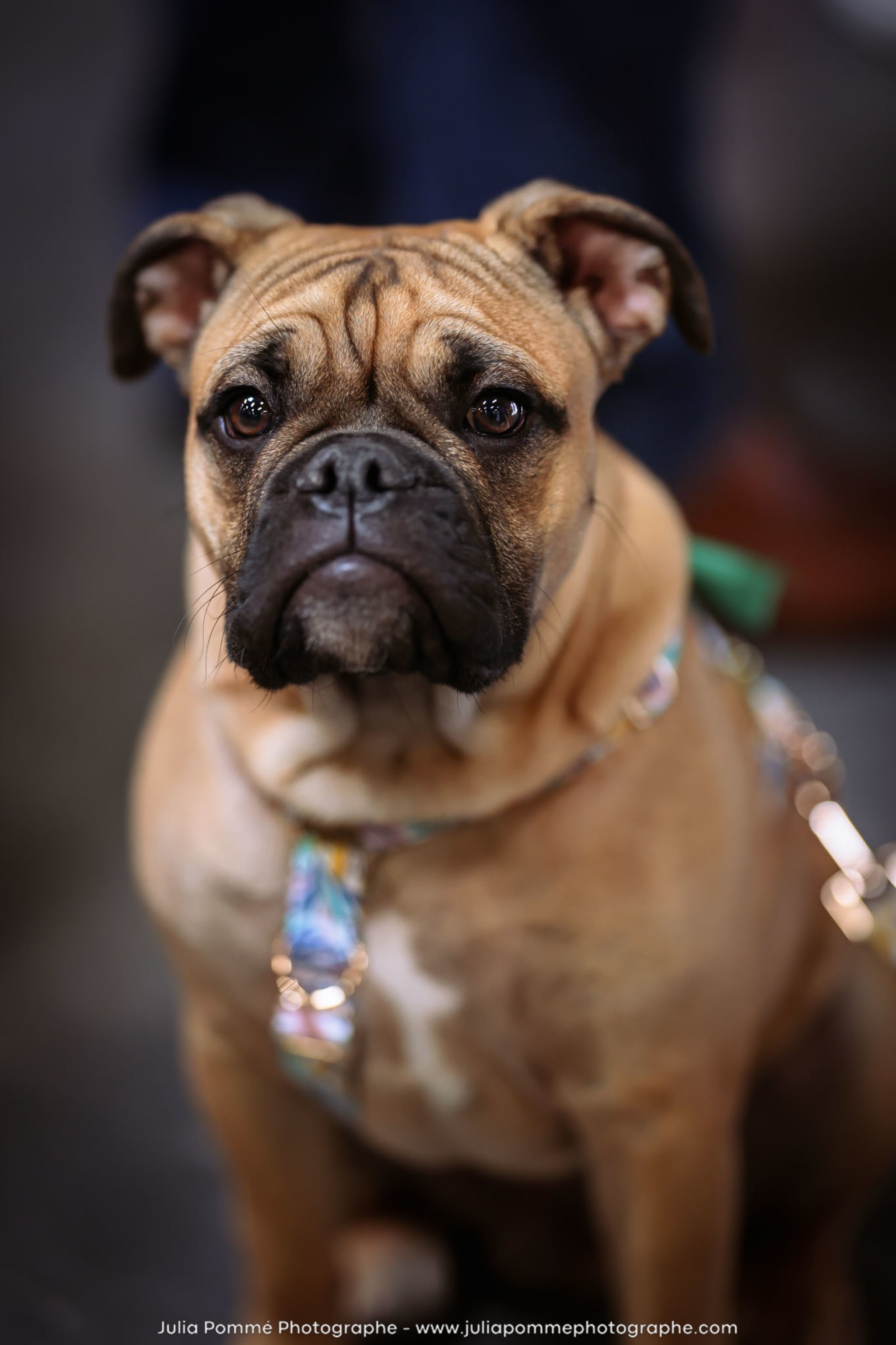 Photo du salon 2024 par Julia Pommé Photographe.