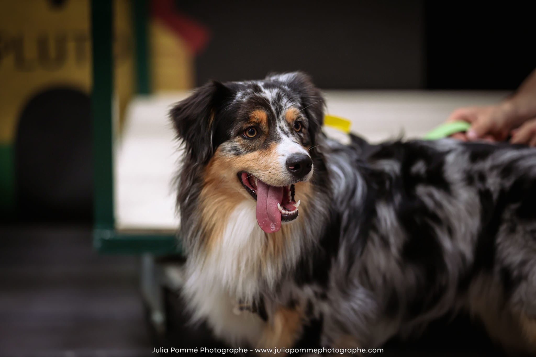 Photo du salon 2024 par Julia Pommé Photographe.