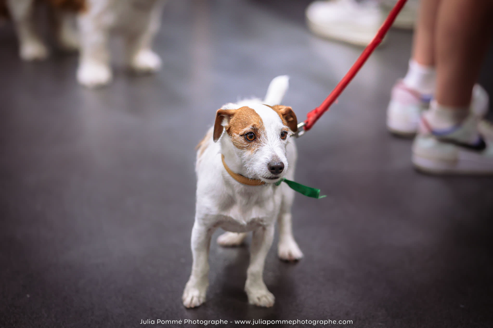 Photo du salon 2024 par Julia Pommé Photographe.