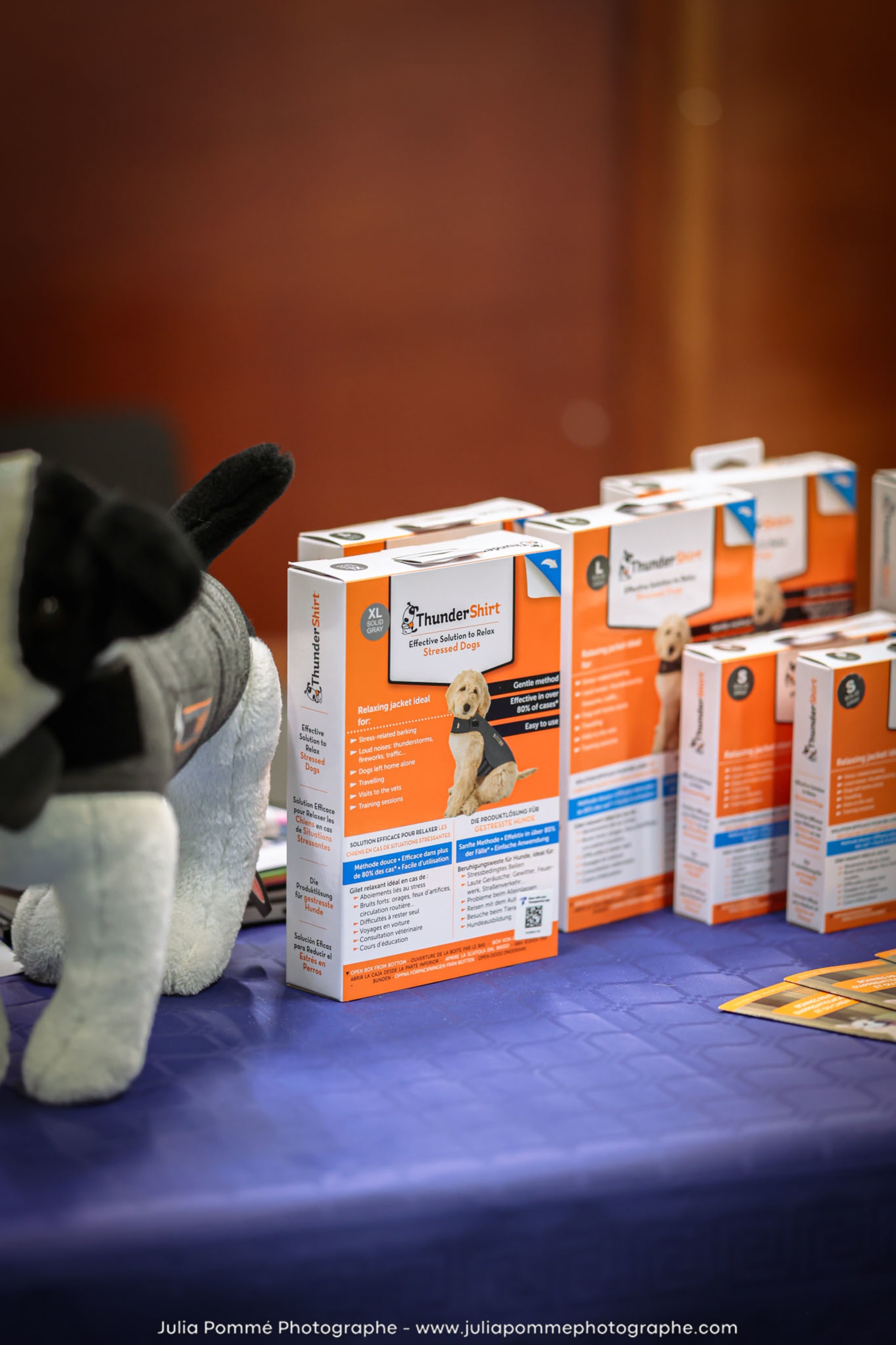 Photo du salon 2024 par Julia Pommé Photographe.