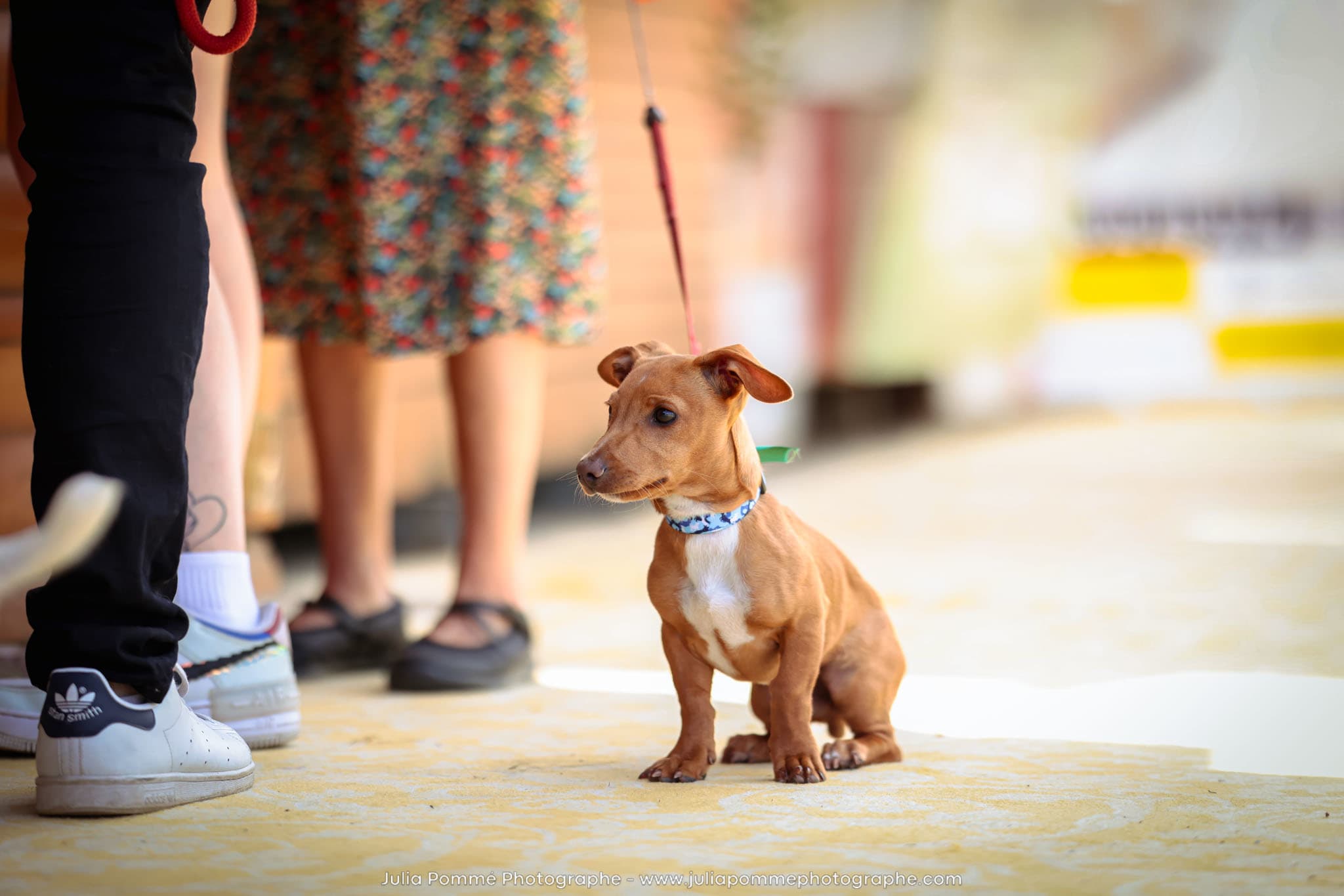 Photo du salon 2024 par Julia Pommé Photographe.