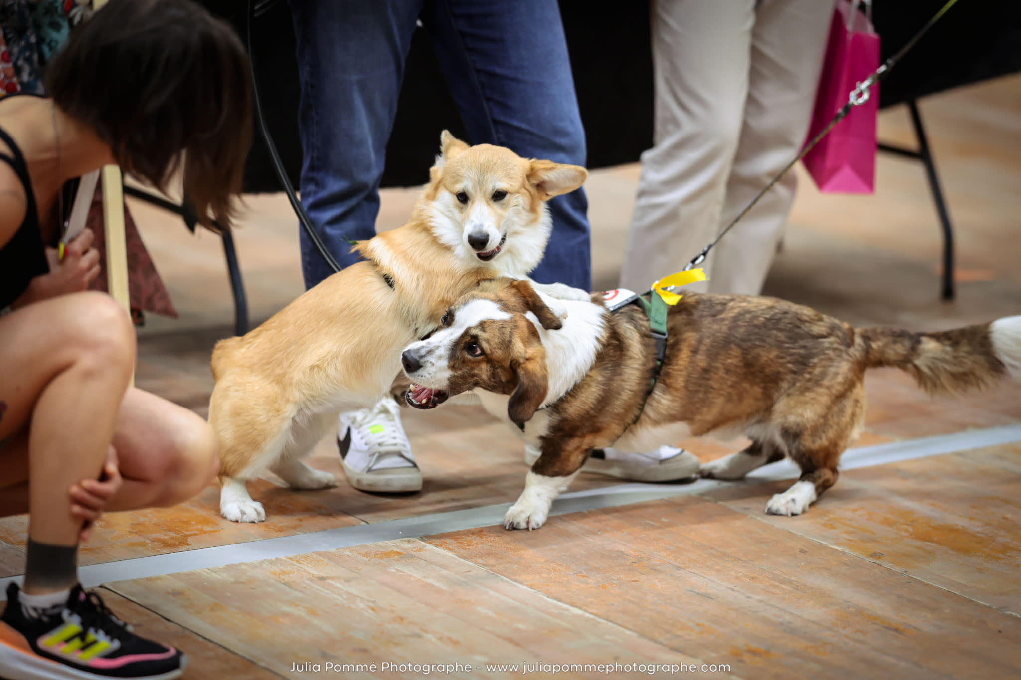Photo du salon 2024 par Julia Pommé Photographe.