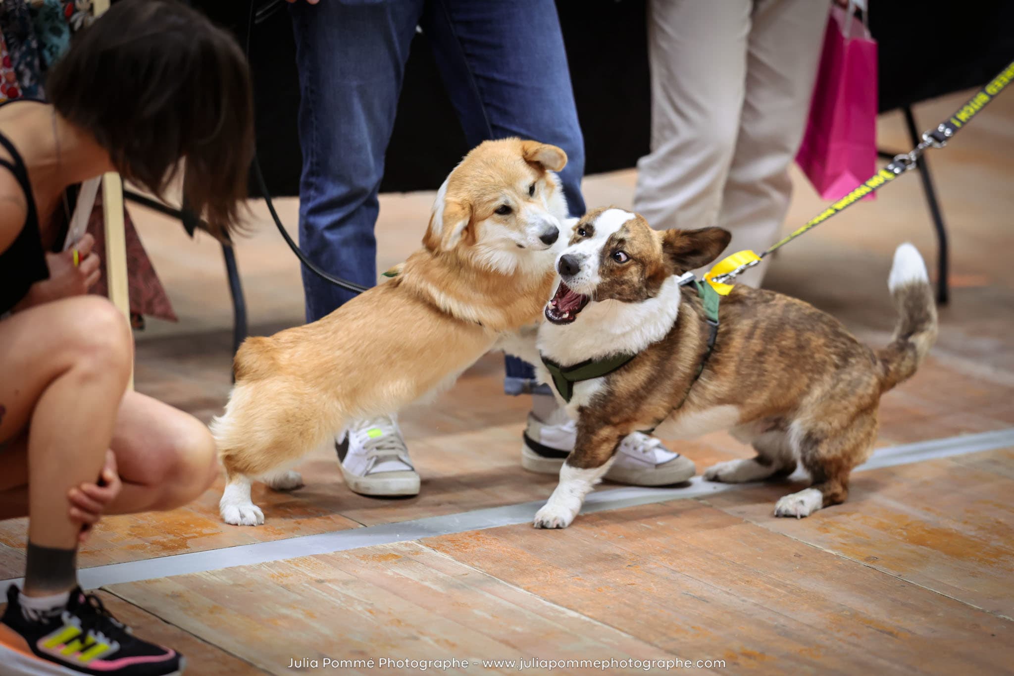 Photo du salon 2024 par Julia Pommé Photographe.