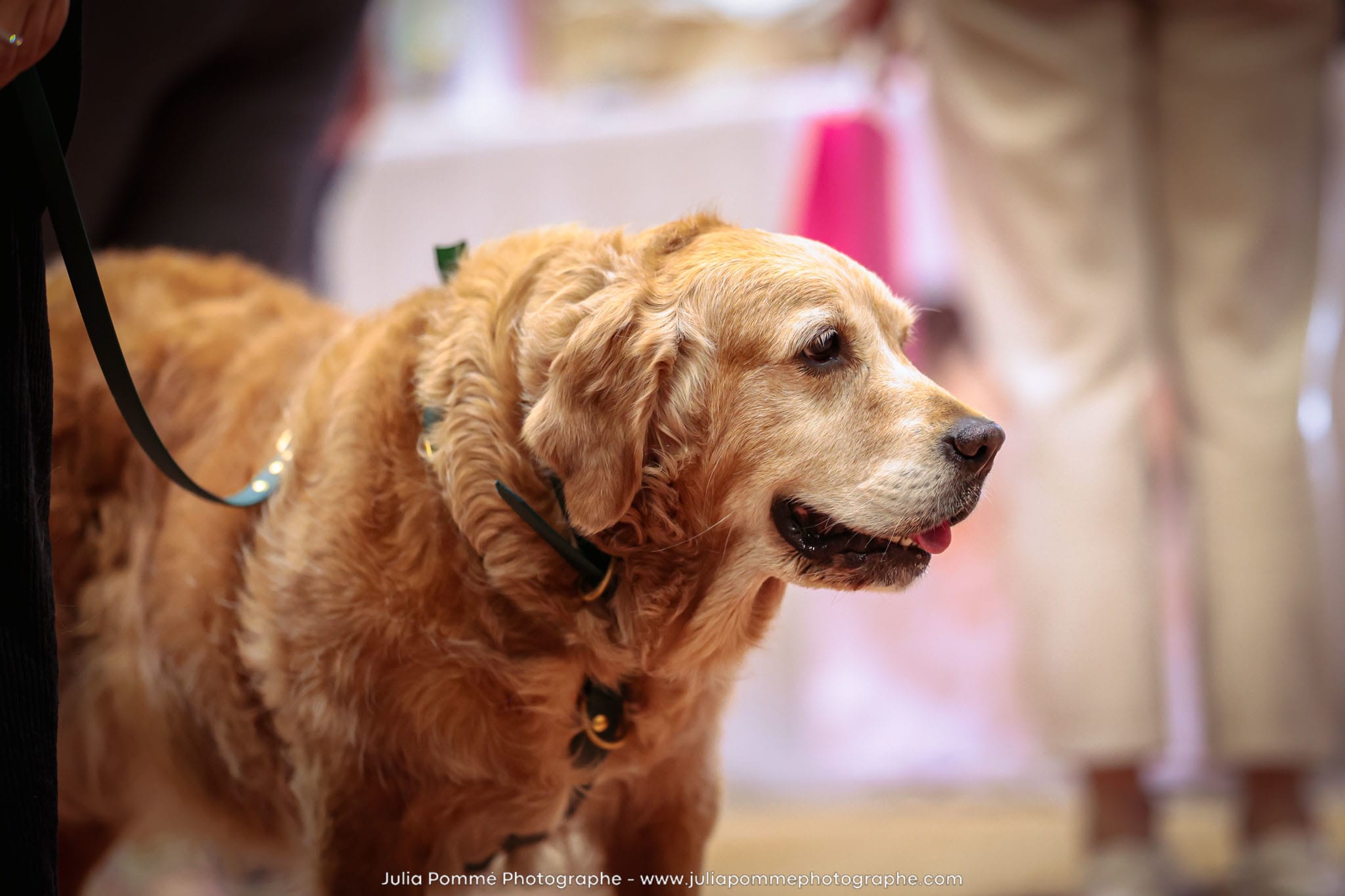 Photo du salon 2024 par Julia Pommé Photographe.