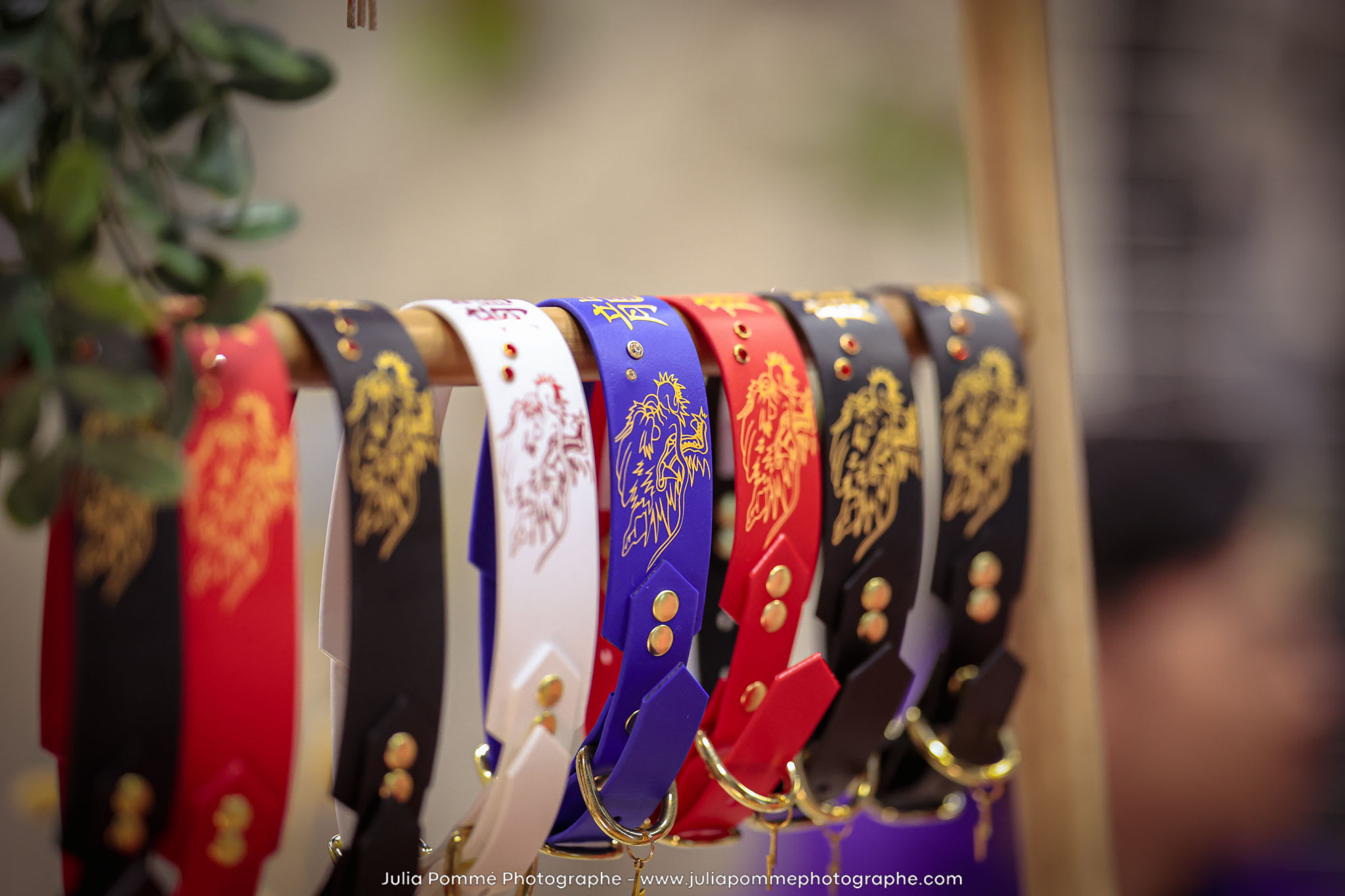 Photo du salon 2024 par Julia Pommé Photographe.