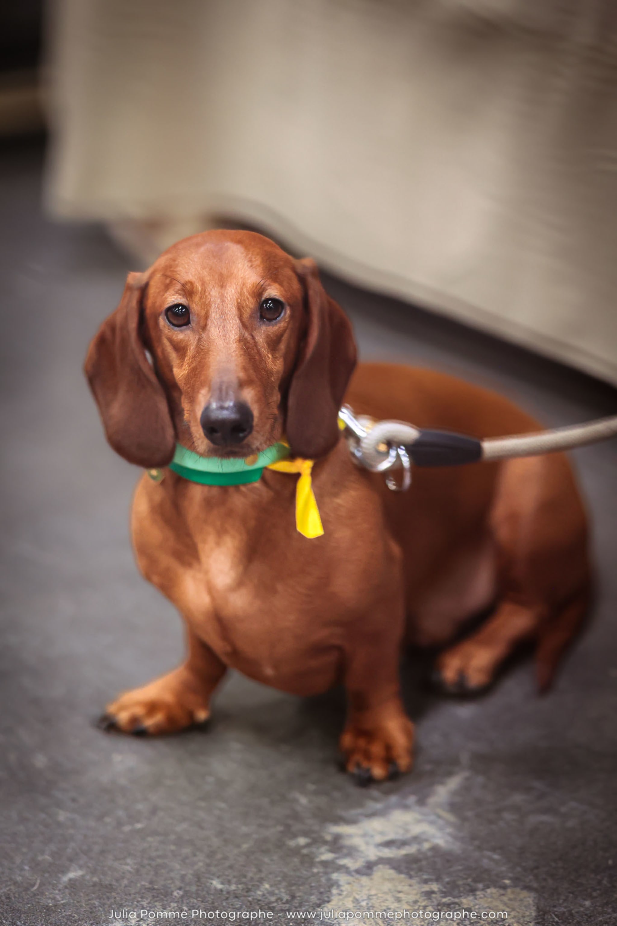 Photo du salon 2024 par Julia Pommé Photographe.