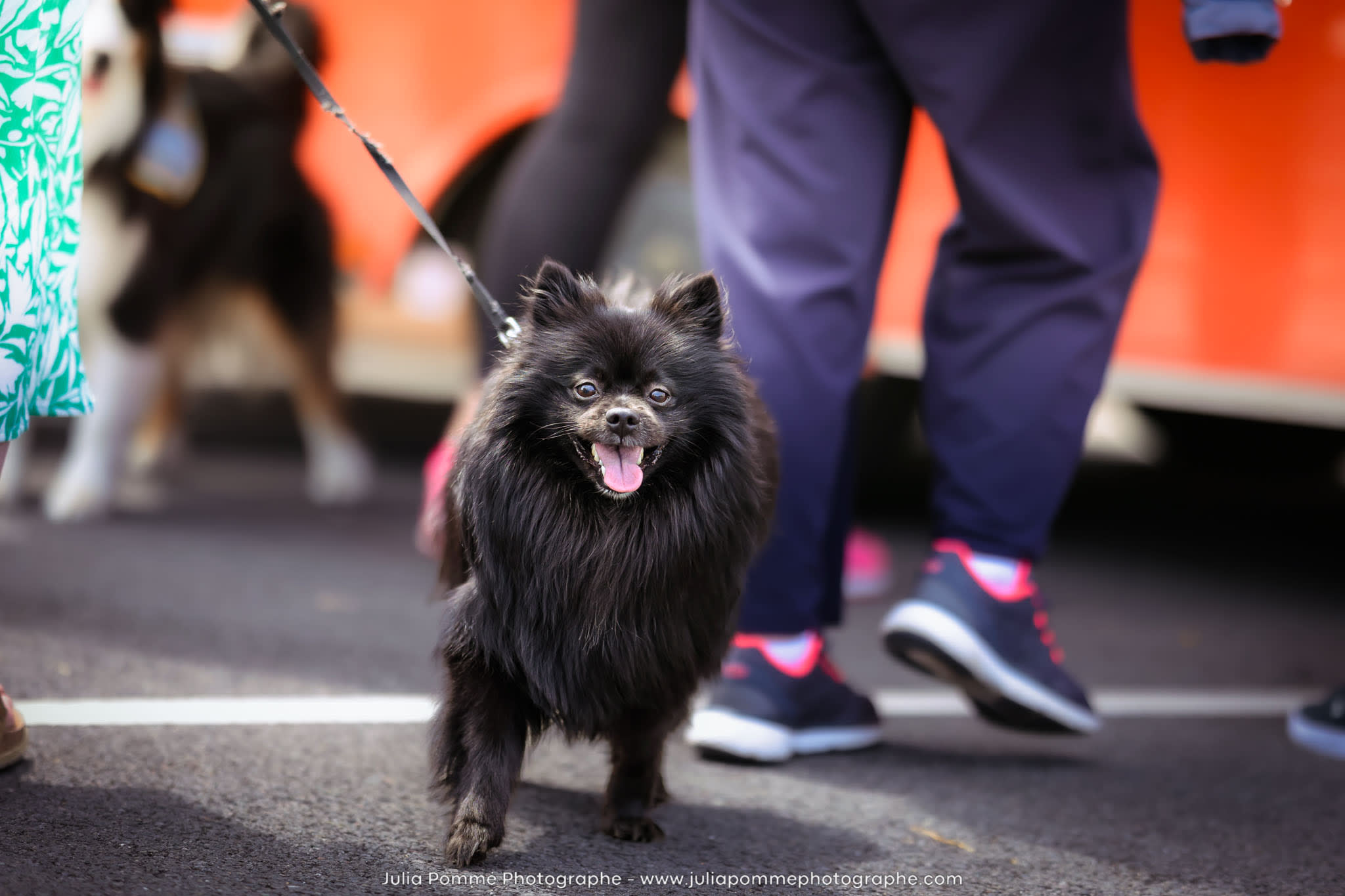 Photo du salon 2024 par Julia Pommé Photographe.