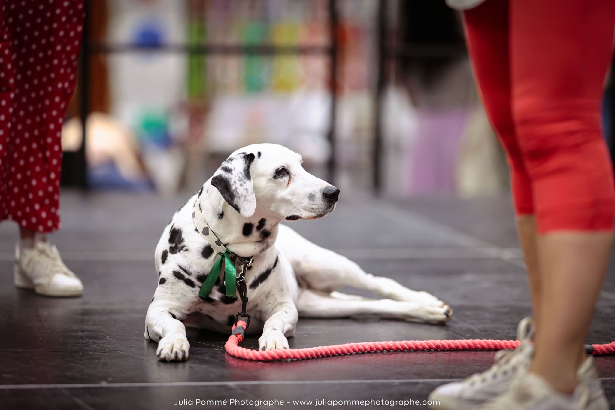 Photo du salon 2024 par Julia Pommé Photographe.