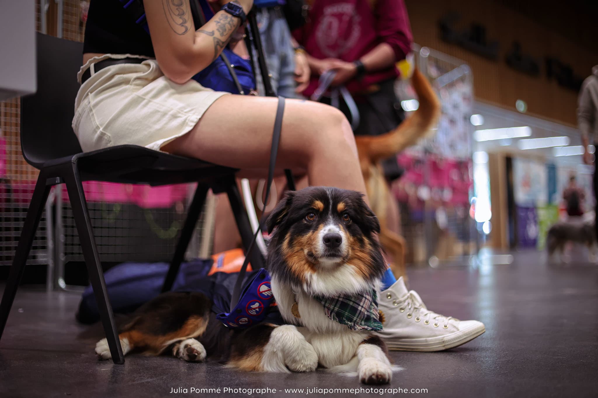Photo du salon 2024 par Julia Pommé Photographe.