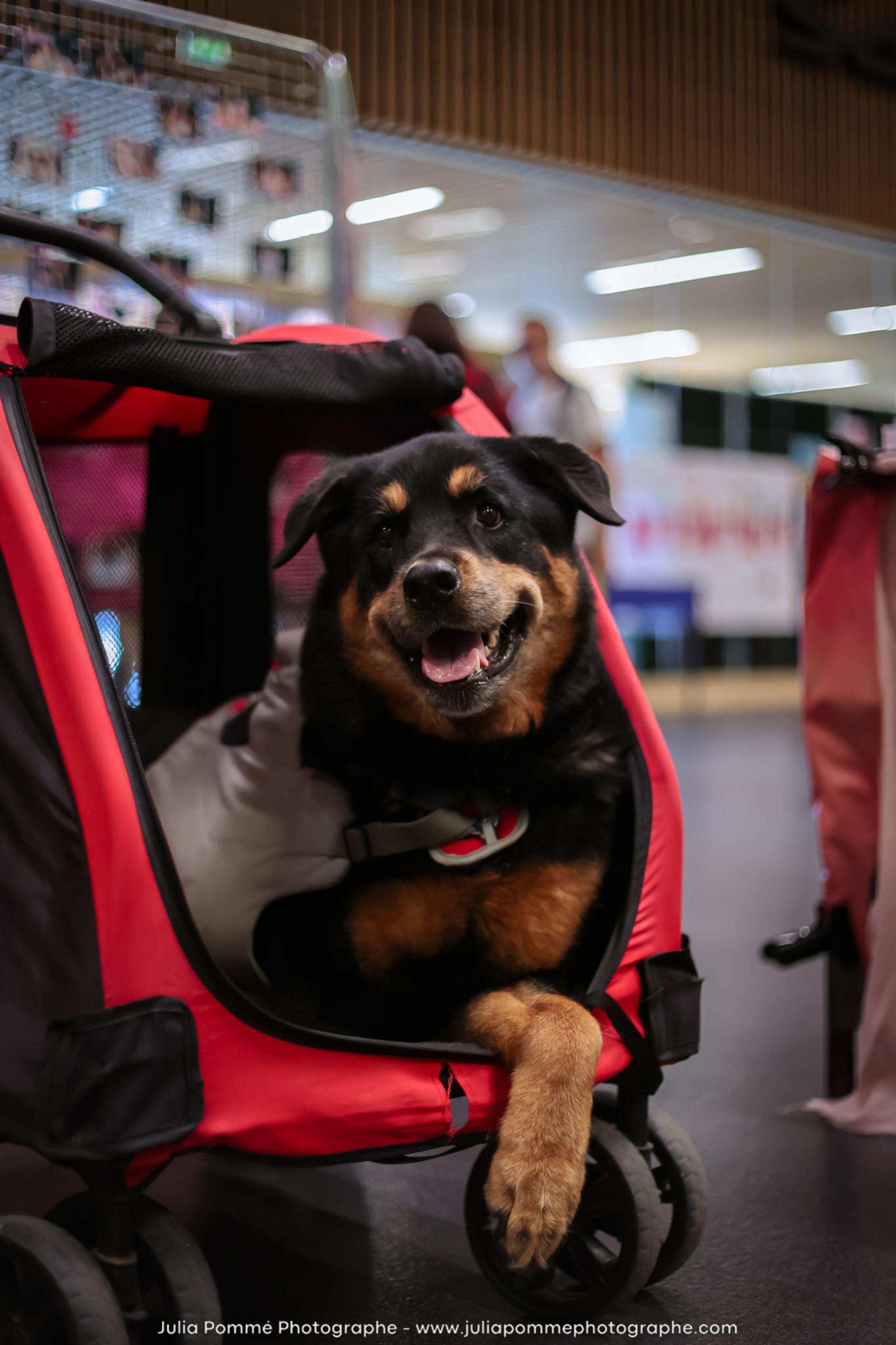 Photo du salon 2024 par Julia Pommé Photographe.