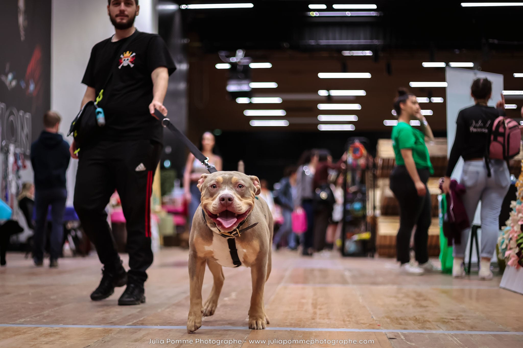 Photo du salon 2024 par Julia Pommé Photographe.