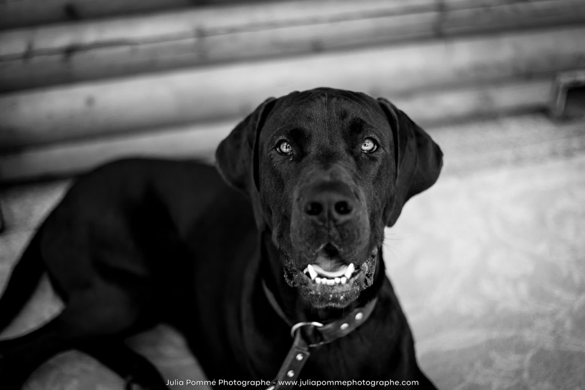 Photo du salon 2024 par Julia Pommé Photographe.