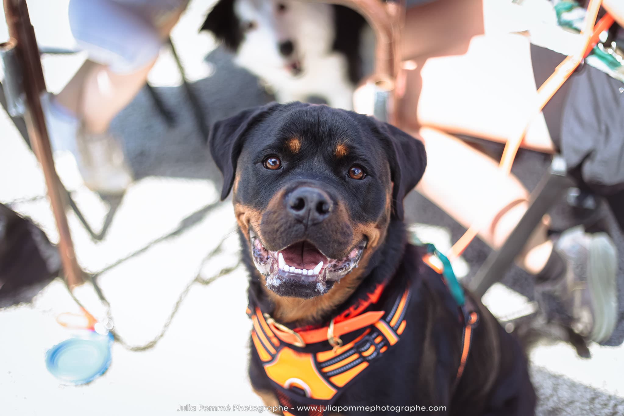 Photo du salon 2024 par Julia Pommé Photographe.