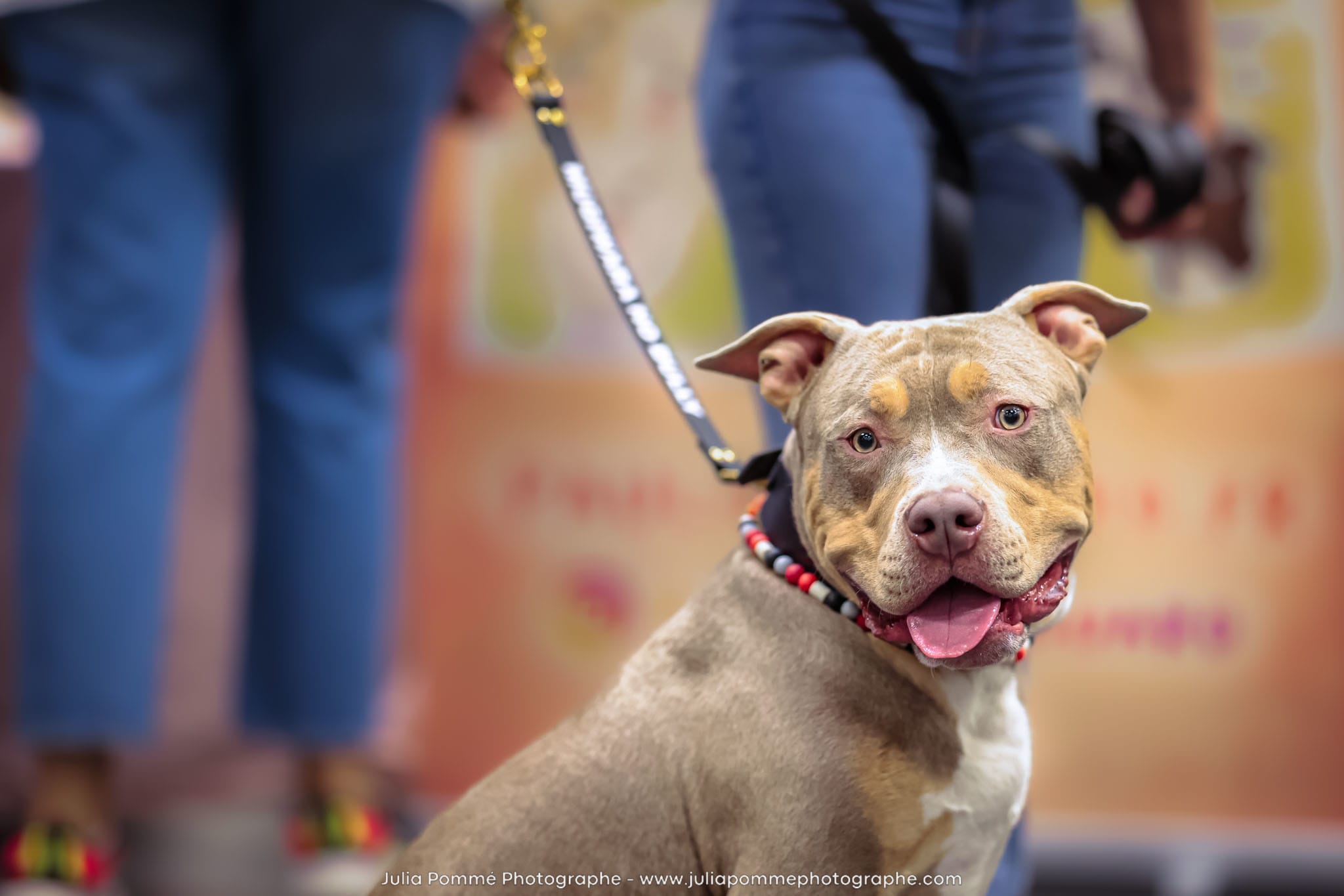 Photo du salon 2024 par Julia Pommé Photographe.