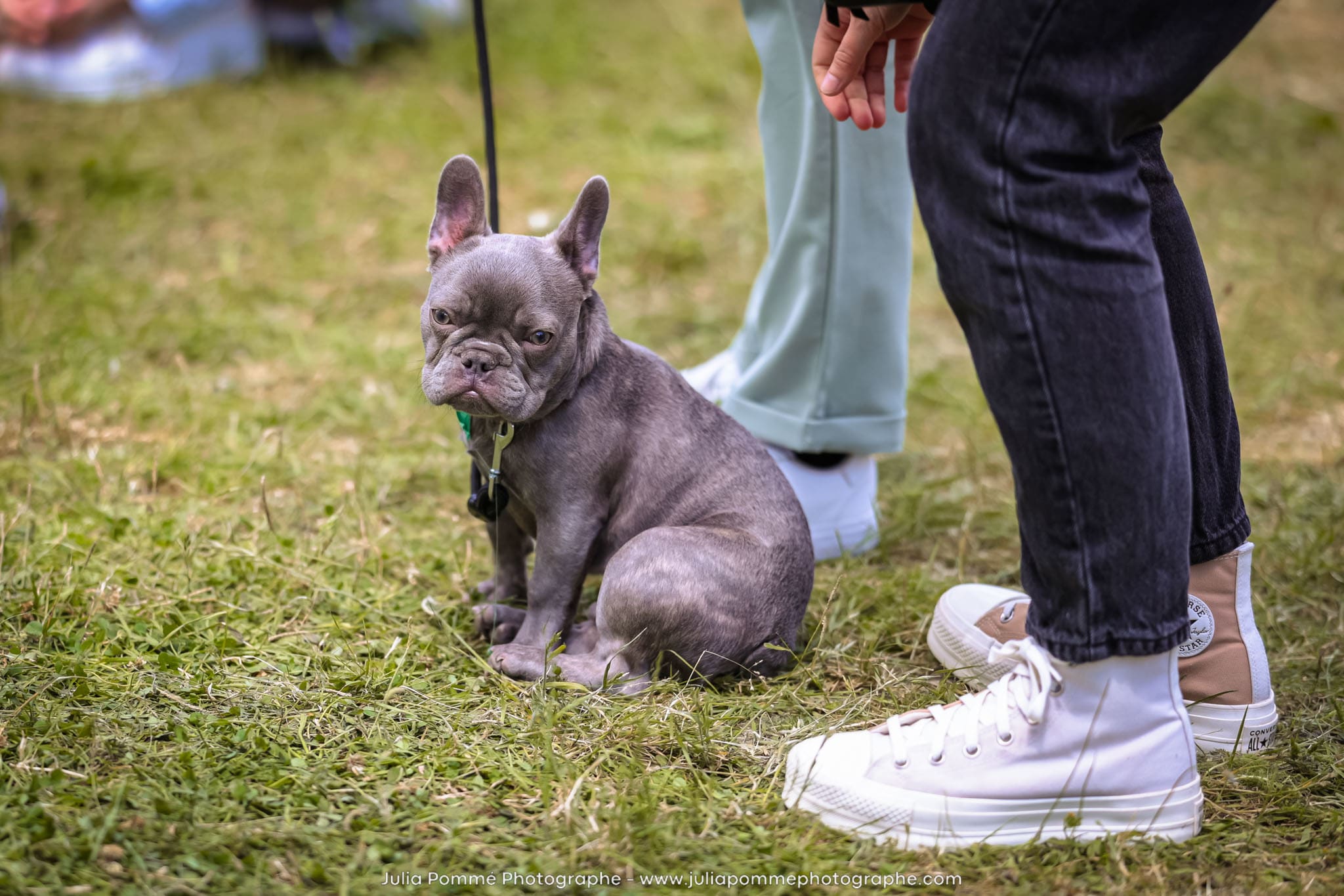 Photo du salon 2024 par Julia Pommé Photographe.