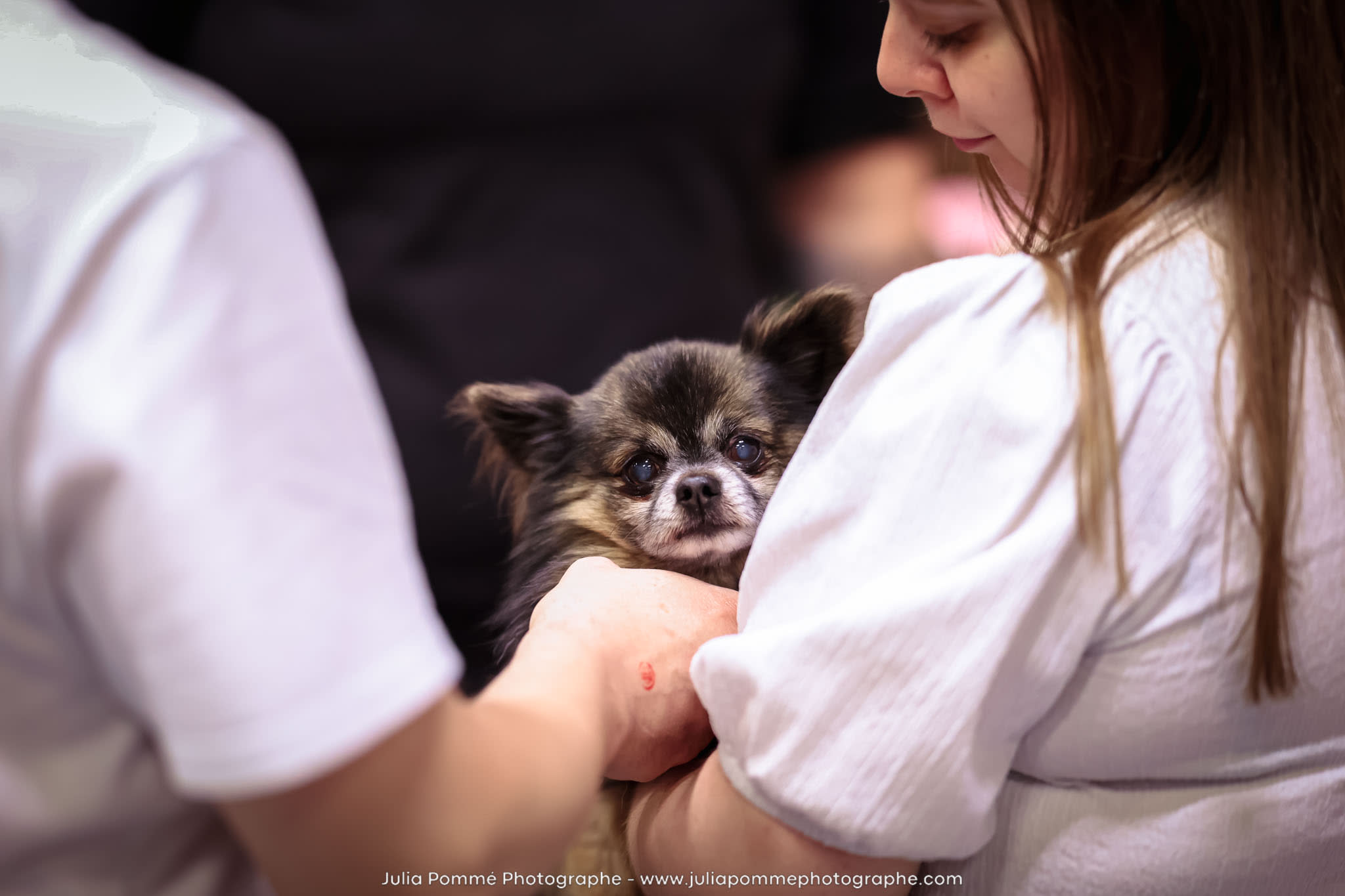 Photo du salon 2024 par Julia Pommé Photographe.