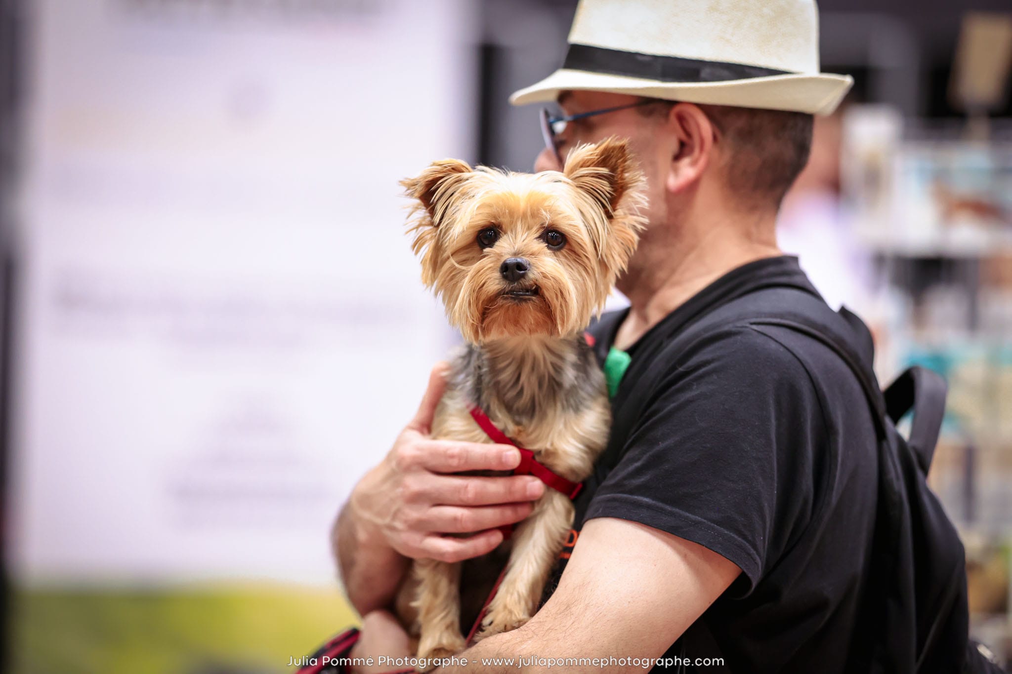 Photo du salon 2024 par Julia Pommé Photographe.