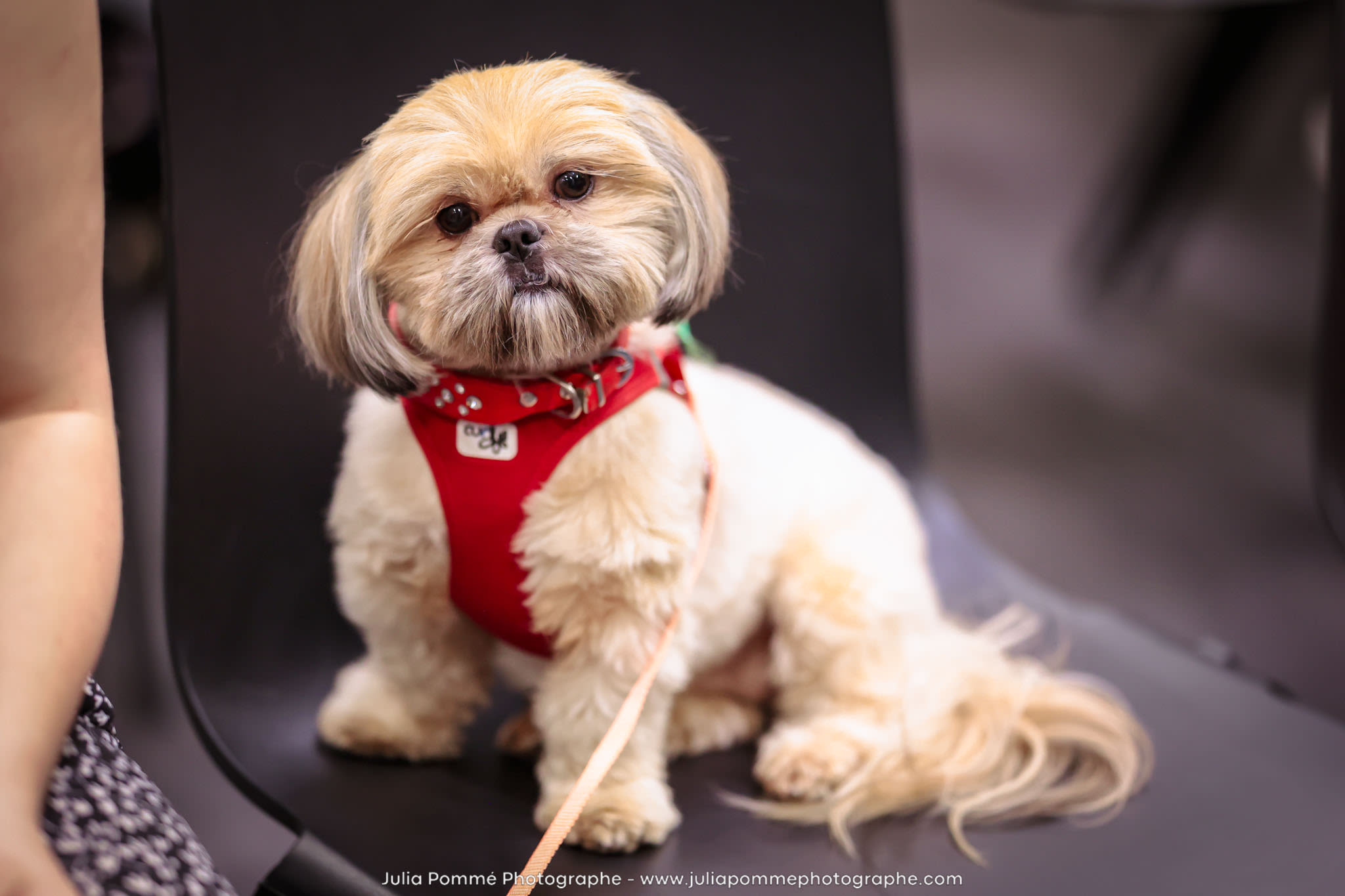 Photo du salon 2024 par Julia Pommé Photographe.